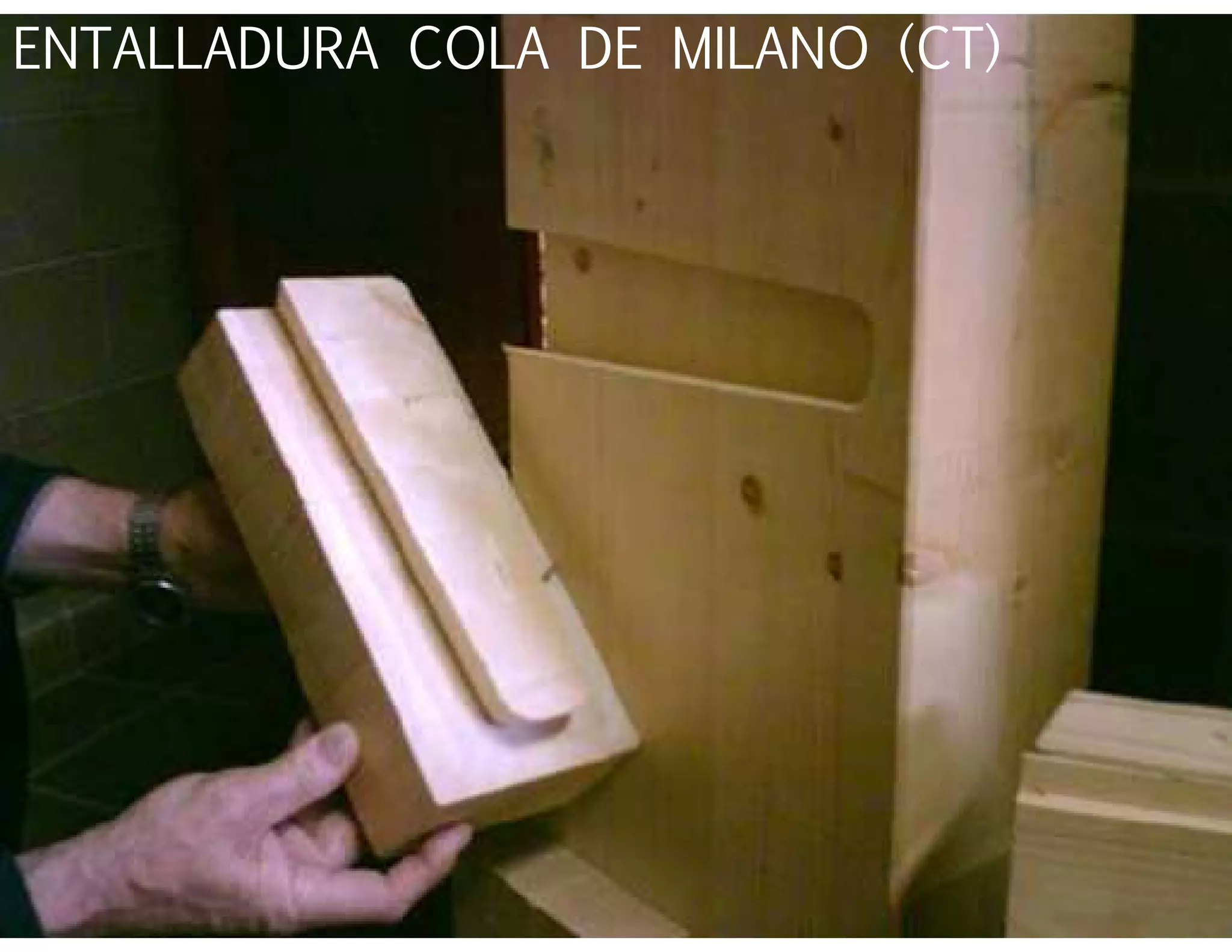 ENTALLADURA COLA DE MILANO (CT)
 
