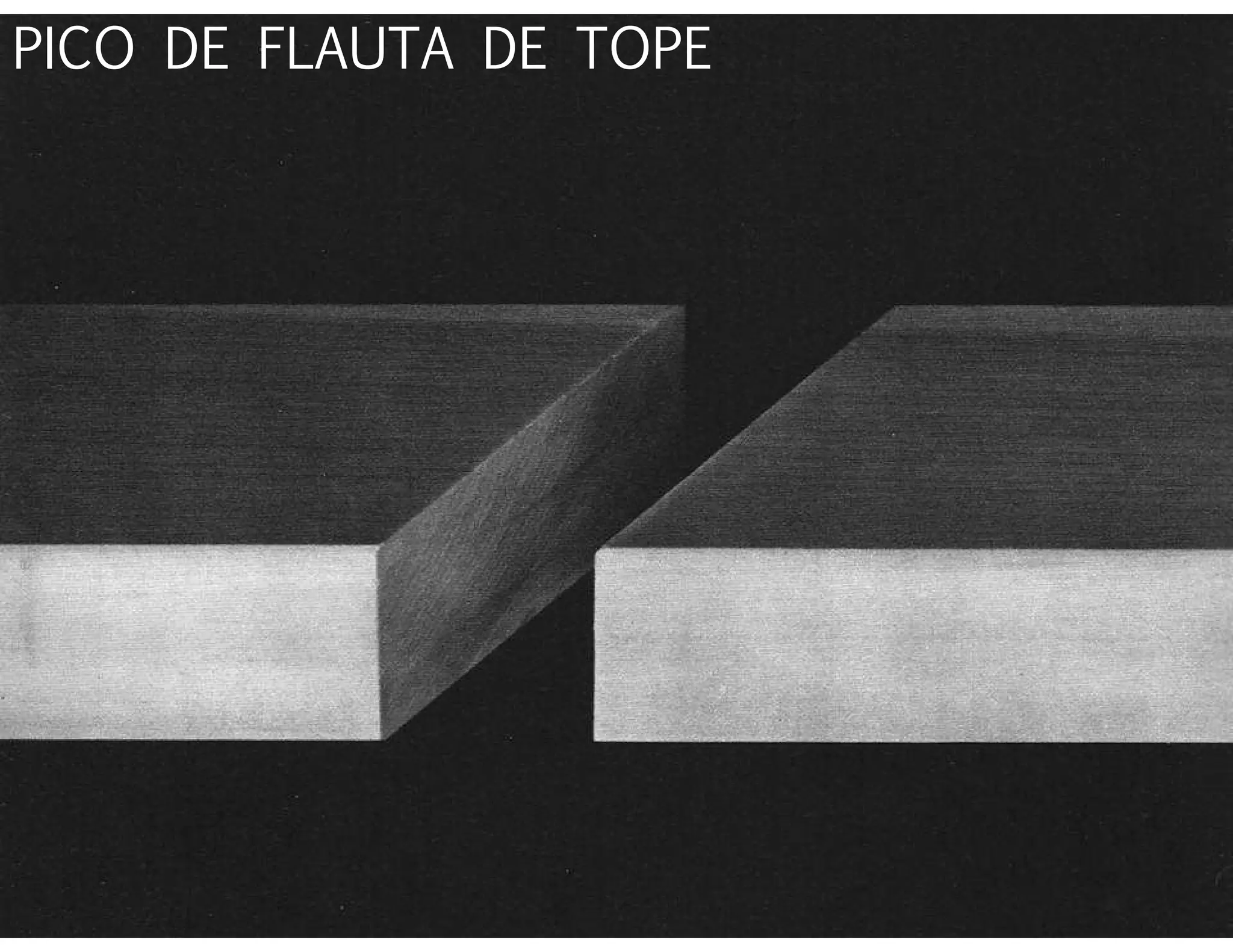 PICO DE FLAUTA DE TOPE
 