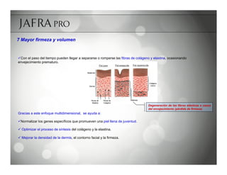 7 Mayor firmeza y volumen


ü Con el paso del tiempo pueden llegar a separarse o romperse las fibras de colágeno y elastina, ocasionando
envejecimiento prematuro.




                                                                                    Degeneración de las fibras elásticas a causa
                                                                                    del envejecimiento (pérdida de firmeza).
Gracias a este enfoque multidimensional, se ayuda a:

ü Normalizar los genes específicos que promueven una piel llena de juventud.

ü  Optimizar el proceso de síntesis del colágeno y la elastina.

ü  Mejorar la densidad de la dermis, el contorno facial y la firmeza.
 