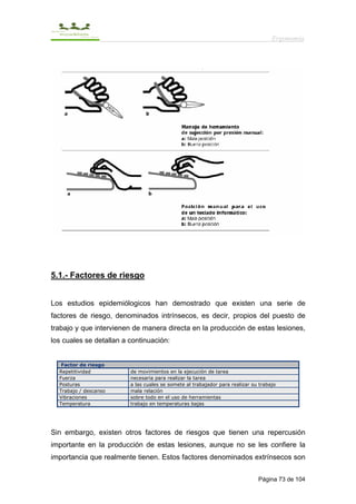 Ergonomía




5.1.- Factores de riesgo


Los estudios epidemiólogicos han demostrado que existen una serie de
factores de riesgo, denominados intrínsecos, es decir, propios del puesto de
trabajo y que intervienen de manera directa en la producción de estas lesiones,
los cuales se detallan a continuación:


   Factor de riesgo
  Repetitividad          de movimientos en la ejecución de tarea
  Fuerza                 necesaria para realizar la tarea
  Posturas               a las cuales se somete al trabajador para realizar su trabajo
  Trabajo / descanso     mala relación
  Vibraciones            sobre todo en el uso de herramientas
  Temperatura            trabajo en temperaturas bajas




Sin embargo, existen otros factores de riesgos que tienen una repercusión
importante en la producción de estas lesiones, aunque no se les confiere la
importancia que realmente tienen. Estos factores denominados extrínsecos son


                                                                              Página 73 de 104
 