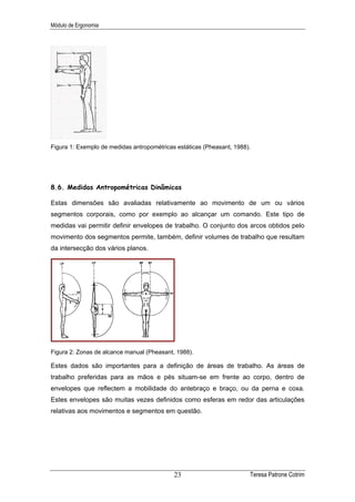 Módulo de Ergonomia




Figura 1: Exemplo de medidas antropométricas estáticas (Pheasant, 1988).




8.6. Medidas Antropométricas Dinâmicas

Estas dimensões são avaliadas relativamente ao movimento de um ou vários
segmentos corporais, como por exemplo ao alcançar um comando. Este tipo de
medidas vai permitir definir envelopes de trabalho. O conjunto dos arcos obtidos pelo
movimento dos segmentos permite, também, definir volumes de trabalho que resultam
da intersecção dos vários planos.




Figura 2: Zonas de alcance manual (Pheasant, 1988).

Estes dados são importantes para a definição de áreas de trabalho. As áreas de
trabalho preferidas para as mãos e pés situam-se em frente ao corpo, dentro de
envelopes que reflectem a mobilidade do antebraço e braço, ou da perna e coxa.
Estes envelopes são muitas vezes definidos como esferas em redor das articulações
relativas aos movimentos e segmentos em questão.




                                            23                         Teresa Patrone Cotrim
 