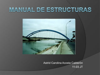 Astrid Carolina Acosta Calderón
                       11-03 JT
 