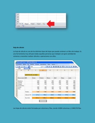 Hoja de cálculo
La hoja de cálculo es uno de los distintos tipos de hojas que puede contener un libro de trabajo. Es
una herramienta muy útil para todas aquellas personas que trabajen con gran cantidad de
números y necesiten realizar cálculos u operaciones con ellos.

Las hojas de cálculo están formadas por columnas y filas, siendo 16384 columnas y 1.048.576 filas.

 