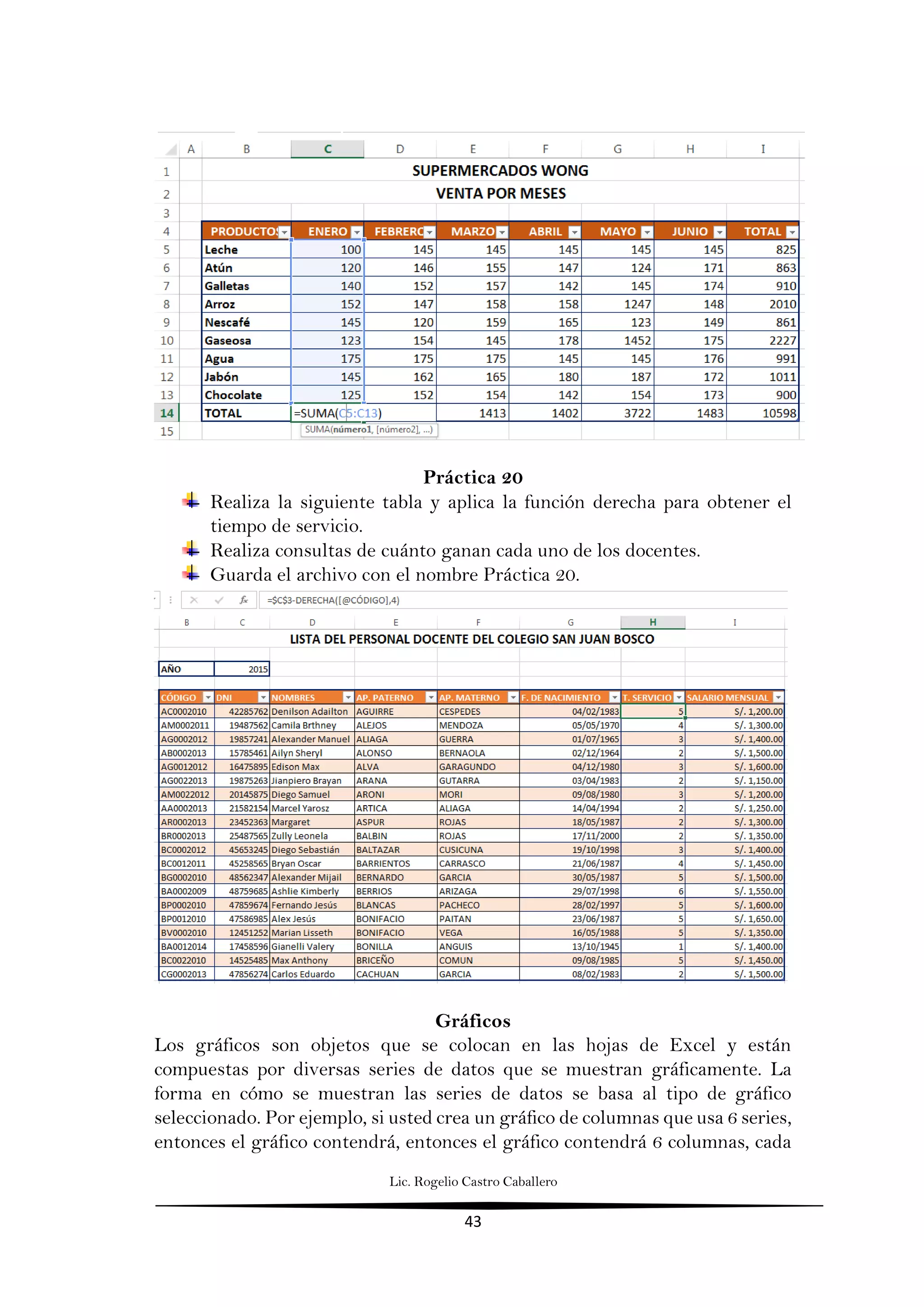 Lic. Rogelio Castro Caballero
43
Práctica 20
Realiza la siguiente tabla y aplica la función derecha para obtener el
tiempo de servicio.
Realiza consultas de cuánto ganan cada uno de los docentes.
Guarda el archivo con el nombre Práctica 20.
Gráficos
Los gráficos son objetos que se colocan en las hojas de Excel y están
compuestas por diversas series de datos que se muestran gráficamente. La
forma en cómo se muestran las series de datos se basa al tipo de gráfico
seleccionado. Por ejemplo, si usted crea un gráfico de columnas que usa 6 series,
entonces el gráfico contendrá, entonces el gráfico contendrá 6 columnas, cada
 