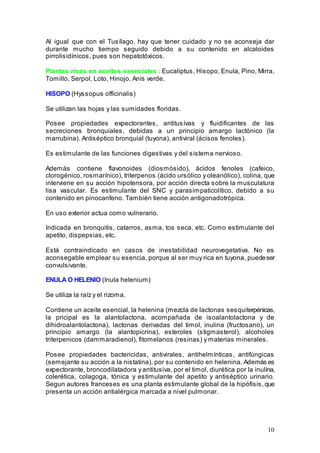 10
Al igual que con el Tusílago, hay que tener cuidado y no se aconseja dar
durante mucho tiempo seguido debido a su contenido en alcaloides
pirrolisidínicos, pues son hepatotóxicos.
Plantas ricas en aceites esenciales : Eucaliptus, Hisopo, Enula, Pino, Mirra,
Tomillo, Serpol, Loto, Hinojo, Anís verde.
HISOPO (Hyssopus officinalis)
Se utilizan las hojas y las sumidades floridas.
Posee propiedades expectorantes, antitusívas y fluidificantes de las
secreciones bronquiales, debidas a un principio amargo lactónico (la
marrubina). Antiséptico bronquial (tuyona), antiviral (ácisos fenoles).
Es estimulante de las funciones digestivas y del sistema nervioso.
Además contiene flavonoides (diosmósido), ácidos fenoles (cafeico,
clorogénico, rosmarínico), triterpenos (ácido ursólico y oleanólico), colina, que
interviene en su acción hipotensora, por acción directa sobre la musculatura
lisa vascular. Es estimulante del SNC y parasimpaticolítico, debido a su
contenido en pinocanfeno. También tiene acción antigonadotrópica.
En uso exterior actua como vulnerario.
Indicada en bronquitis, catarros, asma, tos seca, etc. Como estimulante del
apetito, dispepsias, etc.
Está contraindicado en casos de inestabilidad neurovegetativa. No es
aconsegable emplear su esencia, porque al ser muy rica en tuyona, puedeser
convulsivante.
ENULA O HELENIO (Inula helenium)
Se utiliza la raíz y el rizoma.
Contiene un aceite esencial, la helenina (mezcla de lactonas sesquiterpénicas,
la pricipal es la alantolactona, acompañada de isoalantolactona y de
dihidroalantolactona), lactonas derivadas del timol, inulina (fructosano), un
principio amargo (la alantopicrina), esteroles (stigmasterol), alcoholes
triterpenicos (dammaradienol), fitomelanos (resinas) y materias minerales.
Posee propiedades bactericidas, antivirales, antihelmínticas, antifúngicas
(semejante su acción a la nistatina), por su contenido en helenina. Además es
expectorante, broncodilatadora y antitusiva, por el timol, diurética por la inulina,
colerética, colagoga, tónica y estimulante del apetito y antiséptico urinario.
Segun autores franceses es una planta estimulante global de la hipófisis,que
presenta un acción antialérgica marcada a nivel pulmonar.
 