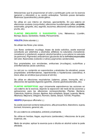 101
Antocianinas que le proporcionan el color y contribuyen junto con la esencia
(geraniol y citronelol) a su acción antiseptica. También posee derivados
flavónicos (quercitrosido) y ácido gálico.
Se utiliza en uso interno en diarreas, gasroenteritis. En uso externo en
afecciones oculares (conjuntivitis), afecciones bucofaringeas (aftas,amigdalitis,
estomatitis, gingivitis, etc), vaginitis, leucorrea, afecciones cutáneas (eccemas,
prurito, etc).
PLANTAS EMOLIENTES O SUAVIZANTES: Lino, Malvavisco, LLantén,
Borraja, Saúco, Gordolobo, Violeta, Pensamiento.
VIOLETA (Viola odorata L.)
Se utilizan las flores y las raíces.
Las flores contienen mucílago, trazas de ácido salicílico, aceite esencial
constituido por aldehídos y alcoholes alifáticos no saturados (nonadienal,
nonadienol y octodienol), eugenol, alcohol benzílico y una cetona no saturada
(la parmona). Pigmentos antociánicos (glucósido de la delfinidina)responsables
del color, flavonoides (rutósido o rutina) y pigmentos carotenoides.
Sus propiedades son emolientes, antitusivas (mucílagos), sudoríficas y
antiinflamatorias (äcido salicílico).
La raíz por su contenido en saponósidos y alcaloides (la odoratina), posee
propiedades antiinflamatorias, expentorantes e hipotensoras (odoratina). A
dosis altas es emética (que provoca el vómito).
Se utiliza en afecciones respiratorias (catarros, gripes, bronquitis, etc) y
afecciones del aparato digestivo (gastritis, úlceras gastroduodenales, etc).
PLANTAS ANTISEPTICAS: aquí únicamente expondremos las acciones en
uso externo de la esencia, dejando la exposición del resto de las acciones y
aplicaciones para las afecciones correspondientes. Plantas: Bardana,
Calendula, Hipérico, Hisopo, Ajedrea, Anís estrellado, Nogal, Lavanda, Menta,
Albahaca, Mejorana, Orégano, Romero, Salvia, Serpol, Tomillo, Propóleo.
HISOPO (Hyssopus officinalis L.)
Su aceite esencial contiene beta-pineno, alfa-pinocanfeno, felandreno, tuyona,
borneol, limoneno, geraniol, etc.
En uso externo es antiséptico, antiviral y cicatrizante.
Se utiliza en heridas, llagas, equímosis (cardenales), infecciones de la piel,
eczemas, etc.
Modo de empleo: aplicar la esencia pura o diluída en alcohol sobre la parte
afectada.
 