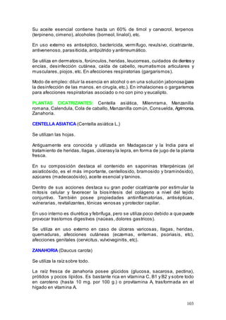 103
Su aceite esencial contiene hasta un 60% de timol y carvacrol, terpenos
(terpineno, cimeno), alcoholes (borneol, linalol), etc.
En uso externo es antiséptico, bactericida, vermífugo, revulsivo, cicatrizante,
antivenenoso, parasiticida, antipútrido y antirreumático.
Se utiliza en dermatosis, forúnculos, heridas, leucorreas, cuidados de dientes y
encías, desinfección cutánea, caída de cabello, reumatismos articulares y
musculares, piojos, etc. En afecciones respiratorias (gargarismos).
Modo de empleo: diluir la esencia en alcohol o en una solución jabonosa(para
la desinfección de las manos. en cirugía, etc.). En inhalaciones o gargarismos
para afecciones respiratorias asociado o no con pino y eucalipto.
PLANTAS CICATRIZANTES: Centella asiática, Milenrrama, Manzanilla
romana, Calendula, Cola de caballo, Manzanilla común, Consuelda, Agrimonia,
Zanahoria.
CENTELLA ASIATICA (Centella asiática L.)
Se utilizan las hojas.
Antiguamente era conocida y utilizada en Madagascar y la India para el
tratamiento de heridas, llagas, úlcerasy la lepra, en forma de jugo de la planta
fresca.
En su composición destaca el contenido en saponinas triterpénicas (el
asiaticósido, es el más importante, centellosido, bramosido y braminósido),
azúcares (madecacósido), aceite esencial y taninos.
Dentro de sus acciones destaca su gran poder cicatrizante por estimular la
mitosis celular y favorecer la biosíntesis del colágeno a nivel del tejido
conjuntivo. También posee propiedades antiinflamatorias, antisépticas,
vulnerarias, revitalizantes, tónicas venosas y protector capilar.
En uso interno es diurética y febrífuga, pero se utiliza poco debido a que puede
provocar trastornos digestivos (naúeas, dolores gastricos).
Se utiliza en uso externo en caso de úlceras varicosas, llagas, heridas,
quemaduras, afecciones cutáneas (eczemas, eritemas, psoriasis, etc),
afecciones genitales (cervicitus, vulvovaginitis, etc).
ZANAHORIA (Daucus carota)
Se utiliza la raíz sobre todo.
La raíz fresca de zanahoria posee glúcidos (glucosa, sacarosa, pectina),
prótidos y pocos lípidos. Es bastante rica en vitamina C, B1 y B2 y sobre todo
en caroteno (hasta 10 mg. por 100 g.) o provitamina A, trasformada en el
hígado en vitamina A.
 