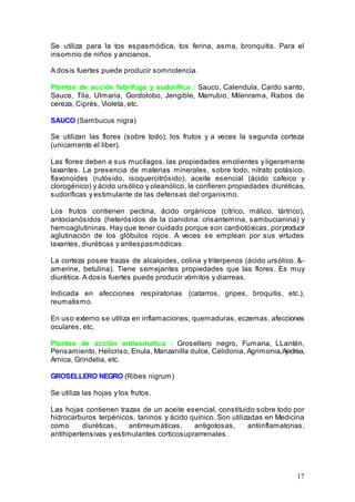 17
Se utiliza para la tos espasmódica, tos ferina, asma, bronquitis. Para el
insomnio de niños y ancianos.
A dosis fuertes puede producir somnolencia.
Plantas de acción febrifuga y sudorifica : Sauco, Calendula, Cardo santo,
Sauce, Tila, Ulmaria, Gordolobo, Jengible, Marrubio, Milenrama, Rabos de
cereza, Ciprés, Violeta, etc.
SAUCO (Sambucus nigra)
Se utilizan las flores (sobre todo), los frutos y a veces la segunda corteza
(unicamente el liber).
Las flores deben a sus mucílagos, las propiedades emolientes y ligeramente
laxantes. La presencia de materias minerales, sobre todo, nitrato potásico,
flavonoides (rutósido, isoquercitrósido), aceite esencial (ácido cafeico y
clorogénico) y ácido ursólico y oleanólico, le confieren propiedades diuréticas,
sudoríficas y estimulante de las defensas del organismo.
Los frutos contienen pectina, ácido orgánicos (cítrico, málico, tártrico),
antocianósidos (heterósidos de la cianidina: crisantemina, sambucianina) y
hemoaglutininas. Hay que tener cuidado porque son cardiotóxicas, porproducir
aglutinación de los glóbulos rojos. A veces se emplean por sus virtudes
laxantes, diuréticas y antiespasmódicas.
La corteza posee trazas de alcaloides, colina y triterpenos (ácido ursólico, &-
amerine, betulina). Tiene semejantes propiedades que las flores. Es muy
diurética. A dosis fuertes puede producir vómitos y diarreas.
Indicada en afecciones respiratorias (catarros, gripes, broquitis, etc.),
reumatismo.
En uso externo se utiliza en inflamaciones, quemaduras, eczemas, afecciones
oculares, etc.
Plantas de acción antiasmatica : Grosellero negro, Fumaria, LLantén,
Pensamiento, Helicriso, Enula, Manzanilla dulce, Celidonia, Agrimonia,Ajedrea,
Arnica, Grindelia, etc.
GROSELLERO NEGRO (Ribes nigrum)
Se utiliza las hojas y los frutos.
Las hojas contienen trazas de un aceite esencial, constituido sobre todo por
hidrocarburos terpénicos, taninos y ácido quínico. Son utilizadas en Medicina
como diuréticas, antirreumáticas, antigotosas, antiinflamatorias,
antihipertensivas y estimulantes corticosuprarrenales.
 