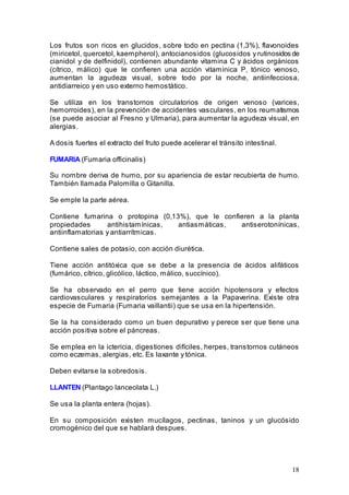 18
Los frutos son ricos en glucidos, sobre todo en pectina (1,3%), flavonoides
(miricetol, quercetol, kaempherol), antocianosidos (glucosidos y rutinosidos de
cianidol y de delfinidol), contienen abundante vitamina C y ácidos orgánicos
(cítrico, málico) que le confieren una acción vitaminica P, tónico venoso,
aumentan la agudeza visual, sobre todo por la noche, antiinfecciosa,
antidiarreico y en uso externo hemostático.
Se utiliza en los transtornos circulatorios de origen venoso (varices,
hemorroides), en la prevención de accidentes vasculares, en los reumatismos
(se puede asociar al Fresno y Ulmaria), para aumentar la agudeza visual, en
alergias.
A dosis fuertes el extracto del fruto puede acelerar el tránsito intestinal.
FUMARIA (Fumaria officinalis)
Su nombre deriva de humo, por su apariencia de estar recubierta de humo.
También llamada Palomilla o Gitanilla.
Se emple la parte aérea.
Contiene fumarina o protopina (0,13%), que le confieren a la planta
propiedades antihistamínicas, antiasmáticas, antiserotonínicas,
antiinflamatorias y antiarrítmicas.
Contiene sales de potasio, con acción diurética.
Tiene acción antitóxica que se debe a la presencia de ácidos alifáticos
(fumárico, cítrico, glicólico, láctico, málico, succínico).
Se ha observado en el perro que tiene acción hipotensora y efectos
cardiovasculares y respiratorios semejantes a la Papaverina. Existe otra
especie de Fumaria (Fumaria vaillantii) que se usa en la hipertensión.
Se la ha considerado como un buen depurativo y perece ser que tiene una
acción positiva sobre el páncreas.
Se emplea en la ictericia, digestiones difíciles, herpes, transtornos cutáneos
como eczemas, alergias, etc. Es laxante y tónica.
Deben evitarse la sobredosis.
LLANTEN (Plantago lanceolata L.)
Se usa la planta entera (hojas).
En su composición existen mucílagos, pectinas, taninos y un glucósido
cromogénico del que se hablará despues.
 