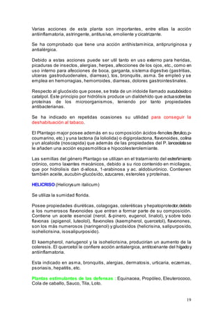 19
Varias acciones de esta planta son importantes, entre ellas la acción
antiinflamatoria, astringente, antitusíva, emoliente y cicatrizante.
Se ha comprobado que tiene una acción antihistamínica, antipruriginosa y
antialérgica.
Debido a estas acciones puede ser util tanto en uso externo para heridas,
picaduras de insectos, alergias, herpes, afecciones de los ojos, etc., como en
uso interno para afecciones de boca, garganta, sistema digestivo (gastritias,
ulceras gastroduodenales, diarreas), tos, bronquitis, asma. Se empleó y se
emplea en hemorragias, hemorroides, diarreas, dolores gastrointestinales.
Respecto al glucósido que posee, se trata de un iridoide llamado aucubósidoo
catalpol. Este principio por hidrólisis produce un dialdehído que actuasobrelas
proteínas de los microorganismos, teniendo por tanto propiedades
antibacterianas.
Se ha indicado en repetidas ocasiones su utilidad para conseguir la
deshabituación al tabaco.
El Plantago major posee además en su composición ácidos-fenoles (ferulico,p-
coumarino, etc.) y una lactona (la loliolida) o digiprolactona, flavonoides, colina
y un alcaloide (noscapida) que además de las propiedades del P. lanceolatase
le añaden una acción espasmolítica e hipocolesterolemiante.
Las semillas del género Plantago se utilizan en el tratamiento del estreñimiento
crónico, como laxantes mecánicos, debido a su rico contenido en micílagos,
que por hidrolisis dan d-xilosa, 1-arabinosa y ac. aldobiurónico. Contienen
también aceite, aucubin-glucósido, azucares, esteroles y proteínas.
HELICRISO (Helicrysum italicum)
Se utiliza la sumidad florida.
Posee propiedades diuréticas, colagogas, coleréticas y hepatoprotector,debido
a los numerosos flavonoides que entran a formar parte de su composición.
Contiene un aceite esencial (nerol, &-pinero, eugenol, linalol), y sobre todo
flavonas (apigenol, luteolol), flavonoles (kaempherol, quercetol), flavonones,
son los más numerosos (naringenol) y glucósidos (helicrisina, salipurposido,
isohelicrisina, isosalipurposido).
El kaempherol, nariugenol y la isohelicrisina, producirían un aumento de la
coleresis. El quercetol le confiere acción antialergica, antitoxinante del hígadoy
antiinflamatoria.
Esta indicado en asma, bronquitis, alergias, dermatosis, urticaria, eczemas,
psoriasis, hepatitis, etc.
Plantas estimulantes de las defensas : Equinacea, Propóleo, Eleuterococo,
Cola de caballo, Sauco, Tila, Loto.
 
