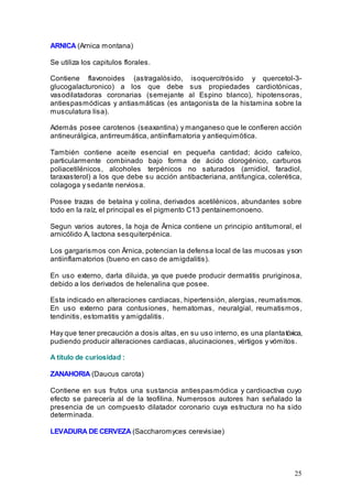 25
ARNICA (Arnica montana)
Se utiliza los capitulos florales.
Contiene flavonoides (astragalósido, isoquercitrósido y quercetol-3-
glucogalacturonico) a los que debe sus propiedades cardiotónicas,
vasodilatadoras coronarias (semejante al Espino blanco), hipotensoras,
antiespasmódicas y antiasmáticas (es antagonista de la histamina sobre la
musculatura lisa).
Además posee carotenos (seaxantina) y manganeso que le confieren acción
antineurálgica, antirreumática, antiinflamatoria y antiequimótica.
También contiene aceite esencial en pequeña cantidad; ácido cafeíco,
particularmente combinado bajo forma de ácido clorogénico, carburos
poliacetilénicos, alcoholes terpénicos no saturados (arnidiol, faradiol,
taraxasterol) a los que debe su acción antibacteriana, antifungica, colerética,
colagoga y sedante nerviosa.
Posee trazas de betaína y colina, derivados acetilénicos, abundantes sobre
todo en la raíz, el principal es el pigmento C13 pentainemonoeno.
Segun varios autores, la hoja de Ärnica contiene un principio antitumoral, el
arnicólido A, lactona sesquiterpénica.
Los gargarismos con Ärnica, potencian la defensa local de las mucosas yson
antiinflamatorios (bueno en caso de amigdalitis).
En uso externo, darla diluida, ya que puede producir dermatitis pruriginosa,
debido a los derivados de helenalina que posee.
Esta indicado en alteraciones cardiacas, hipertensión, alergias, reumatismos.
En uso externo para contusiones, hematomas, neuralgial, reumatismos,
tendinitis, estomatitis y amigdalitis.
Hay que tener precaución a dosis altas, en su uso interno, es una plantatóxica,
pudiendo producir alteraciones cardiacas, alucinaciones, vértigos y vómitos.
A título de curiosidad :
ZANAHORIA (Daucus carota)
Contiene en sus frutos una sustancia antiespasmódica y cardioactiva cuyo
efecto se parecería al de la teofilina. Numerosos autores han señalado la
presencia de un compuesto dilatador coronario cuya estructura no ha sido
determinada.
LEVADURA DE CERVEZA (Saccharomyces cerevisiae)
 