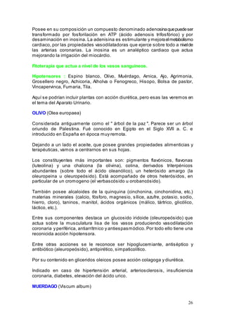 26
Posee en su composición un compuesto denominado adenosinaquepuedeser
transformado por fosforilación en ATP (ácido adenosis trifosfórico) y por
desaminación en inosina. La adenisina es estimulante y mejoraelmetabolismo
cardiaco, por las propiedades vasodilatadoras que ejerce sobre todo a nivelde
las arterias coronarias. La inosina es un analéptico cardiaco que actua
mejorando la irrigación del miocárdio.
Fitoterapia que actua a nivel de los vasos sanguineos.
Hipotensores : Espino blanco, Olivo, Muérdago, Arnica, Ajo, Agrimonia,
Grosellero negro, Achicoria, Alholva o Fenogreco, Hisopo, Bolsa de pastor,
Vincapervinca, Fumaria, Tila.
Aquí se podrían incluir plantas con acción diurética, pero esas las veremos en
el tema del Aparato Urinario.
OLIVO (Olea europaea)
Considerada antiguamente como el " árbol de la paz ". Parece ser un árbol
oriundo de Palestina. Fué conocido en Egipto en el Siglo XVII a. C. e
introducido en España en época muy remota.
Dejando a un lado el aceite, que posee grandes propiedades alimenticias y
terapéuticas, vamos a centrarnos en sus hojas.
Los constituyentes más importantes son: pigmentos flavónicos, flavonas
(luteolina) y una chalcona (la olivina), colina, derivados triterpénicos
abundantes (sobre todo el ácido oleanólico), un heterósido amargo (la
oleuropeina u oleuropeósido). Está acompañado de otros heterósidos, en
particular de un cromogeno (el verbascósido u orobancósido).
También posee alcaloides de la quinquina (cinchonina, cinchonidina, etc.)
materias minerales (calcio, fósforo, magnesio, sílice, azufre, potasio, sodio,
hierro, cloro), taninos, manitol, ácidos orgánicos (málico, tártrico, glicólico,
láctico, etc.).
Entre sus componentes destaca un glucosido iridoide (oleuropeósido) que
actua sobre la musculatura lisa de los vasos produciendo vasodilatación
coronaria y periférica, antiarrítmico y antiespasmódico. Por todo ello tiene una
reconicida acción hipotensora.
Entre otras acciones se le reconoce ser hipoglucemiante, antiséptico y
antibiótico (aleuropeósido), antipirético, simpaticolítico.
Por su contenido en gliceridos oleicos posee acción colagoga y diurética.
Indicado en caso de hipertensión arterial, arteriosclerosis, insuficiencia
coronaria, diabetes, elevación del ácido urico.
MUERDAGO (Viscum album)
 