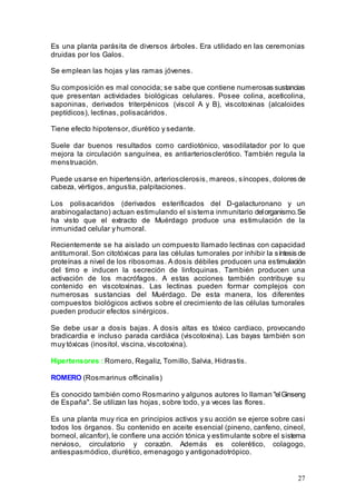 27
Es una planta parásita de diversos árboles. Era utilidado en las ceremonias
druidas por los Galos.
Se emplean las hojas y las ramas jóvenes.
Su composición es mal conocida; se sabe que contiene numerosas sustancias
que presentan actividades biológicas celulares. Posee colina, acetlcolina,
saponinas, derivados triterpénicos (viscol A y B), viscotoxinas (alcaloides
peptídicos), lectinas, polisacáridos.
Tiene efecto hipotensor, diurético y sedante.
Suele dar buenos resultados como cardiotónico, vasodilatador por lo que
mejora la circulación sanguínea, es antiarteriosclerótico. También regula la
menstruación.
Puede usarse en hipertensión, arteriosclerosis, mareos, síncopes, dolores de
cabeza, vértigos, angustia, palpitaciones.
Los polisacaridos (derivados esterificados del D-galacturonano y un
arabinogalactano) actuan estimulando el sistema inmunitario delorganismo.Se
ha visto que el extracto de Muérdago produce una estimulación de la
inmunidad celular y humoral.
Recientemente se ha aislado un compuesto llamado lectinas con capacidad
antitumoral. Son citotóxicas para las células tumorales por inhibir la síntesis de
proteínas a nivel de los ribosomas. A dosis débiles producen una estimulación
del timo e inducen la secreción de linfoquinas. También producen una
activación de los macrófagos. A estas acciones también contribuye su
contenido en viscotoxinas. Las lectinas pueden formar complejos con
numerosas sustancias del Muérdago. De esta manera, los diferentes
compuestos biológicos activos sobre el crecimiento de las células tumorales
pueden producir efectos sinérgicos.
Se debe usar a dosis bajas. A dosis altas es tóxico cardiaco, provocando
bradicardia e incluso parada cardiáca (viscotoxina). Las bayas también son
muy tóxicas (inositol, viscina, viscotoxina).
Hipertensores : Romero, Regaliz, Tomillo, Salvia, Hidrastis.
ROMERO (Rosmarinus officinalis)
Es conocido también como Rosmarino y algunos autores lo llaman "elGinseng
de España". Se utilizan las hojas, sobre todo, y a veces las flores.
Es una planta muy rica en principios activos y su acción se ejerce sobre casi
todos los órganos. Su contenido en aceite esencial (pineno, canfeno, cineol,
borneol, alcanfor), le confiere una acción tónica y estimulante sobre el sistema
nervioso, circulatorio y corazón. Además es colerético, colagogo,
antiespasmódico, diurético, emenagogo y antigonadotrópico.
 
