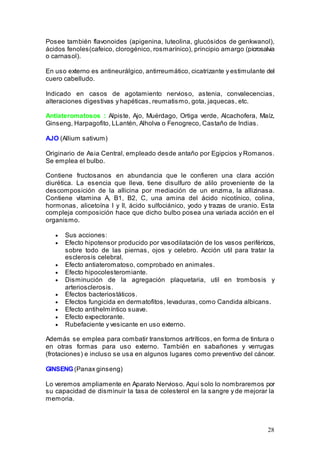 28
Posee también flavonoides (apigenina, luteolina, glucósidos de genkwanol),
ácidos fenoles(cafeico, clorogénico, rosmarínico), principio amargo (picrosalvia
o carnasol).
En uso externo es antineurálgico, antirreumático, cicatrizante y estimulante del
cuero cabelludo.
Indicado en casos de agotamiento nervioso, astenia, convalecencias,
alteraciones digestivas y hapéticas, reumatismo, gota, jaquecas, etc.
Antiateromatosos : Alpiste, Ajo, Muérdago, Ortiga verde, Alcachofera, Maíz,
Ginseng, Harpagofito, LLantén, Alholva o Fenogreco, Castaño de Indias.
AJO (Allium sativum)
Originario de Asia Central, empleado desde antaño por Egipcios y Romanos.
Se emplea el bulbo.
Contiene fructosanos en abundancia que le confieren una clara acción
diurética. La esencia que lleva, tiene disulfuro de alilo proveniente de la
descomposición de la allicina por mediación de un enzima, la allizinasa.
Contiene vitamina A, B1, B2, C, una amina del ácido nicotínico, colina,
hormonas, alicetoína I y II, ácido sulfociánico, yodo y trazas de uranio. Esta
compleja composición hace que dicho bulbo posea una variada acción en el
organismo.
• Sus acciones:
• Efecto hipotensor producido por vasodilatación de los vasos periféricos,
sobre todo de las piernas, ojos y celebro. Acción util para tratar la
esclerosis celebral.
• Efecto antiateromatoso, comprobado en animales.
• Efecto hipocolesteromiante.
• Disminución de la agregación plaquetaria, util en trombosis y
arteriosclerosis.
• Efectos bacteriostáticos.
• Efectos fungicida en dermatofitos, levaduras, como Candida albicans.
• Efecto antihelmíntico suave.
• Efecto expectorante.
• Rubefaciente y vesicante en uso externo.
Además se emplea para combatir transtornos artríticos, en forma de tintura o
en otras formas para uso externo. También en sabañones y verrugas
(frotaciones) e incluso se usa en algunos lugares como preventivo del cáncer.
GINSENG(Panax ginseng)
Lo veremos ampliamente en Aparato Nervioso. Aquí solo lo nombraremos por
su capacidad de disminuir la tasa de colesterol en la sangre y de mejorar la
memoria.
 