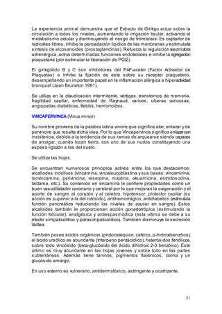 31
La experiencia animal demuestra que el Extracto de Ginkgo actua sobre la
circulación a todos los niveles, aumentando la irrigación tisular, activando el
metabolismo celular y disminuyendo el riesgo de trombosis. Es captador de
radicales libres, inhibe la peroxidación lipídica de las menbranas y estimulala
síntesis de eicosanoides (prostaglandinas). Refuerza la regulaciónvasomotora
adrenérgica, activa determinadas funciones endoteliales e inhibe la agregación
plaquetaria (por estimular la liberación de PGI2).
El ginkgólido B y C son inhibidores del PAF-aceter (Factor Activador de
Plaquetas) e inhibe la fijación de este sobre su receptor plaquetario,
desempeñando un importante papel en la inflamación alérgica e hiperactividad
bronquial (Jean Bruneton 1991).
Se utiliza en la claudicación intermitente, vértigos, transtornos de memoria,
fragilidad capilar, enfermedad de Raynaud, varices, ulceras varicosas,
angiopatías diabéticas, flebitis, hemorroides.
VINCAPERVINCA (Vinca minor)
Su nombre proviene de la palabra latina vincire que significa atar, enlazar y de
pervincire que resalta dicha idea. Por lo que Vincapervinca significa enlazarcon
insistencia, debido a la tendencia de sus ramas de arquearse siendo capaces
de arraigar, cuando tocan tierra, con uno de sus nudos constituyendo una
espesa ligazón a ras del suelo.
Se utiliza las hojas.
Se encuentran numerosos principios activos entre los que destacamos:
alcaliodes indólicos (vincamina, vincaleucoblastina y sus bases: vincamirina,
isovincamina, perivincina, reserpina, majdina, akuamicina, estrictosodina,
lactama, etc.). Su contenido en vincamina le confiere propiedades como un
buen vasodilatador coronario y cerebral por lo que mejoran la oxigenación y el
aporte de sangre al corazón y al celebro, hipotensor, protector capilar (su
acción es superior a la del rutósido), antihemorrágico, antidiabetico (estimulala
función pancreática reduciendo los niveles de azucar en sangre). Estos
alcaloides también le proporcionan acción gonadotrópica (estimulando la
función folicular), analgésica y antiespasmódica (esta ultima se debe a su
efecto simpaticolítico y parasimpaticolítico). También disminuye la secreción
láctea.
También posee ácidos orgánicos (protocatéquico, cafeico, p-hidroxibenzóico),
el ácido ursólico es abundante (triterpeno pentacíclico), heterósidos fenólicos,
sobre todo vincósido (beta-glucósido del ácido dihidroxi 2-3 benzóico). Este
ultimo es muy abundante en las hojas jóvenes y sobre todo en las partes
subterráneas. Además tiene taninos, pigmentos flavónicos, colina y un
glucósido amargo.
En uso externo es vulnerario, antidermatósico, astringente y cicatrizante.
 