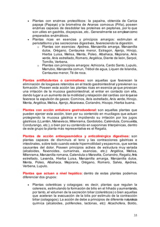 35
• Plantas con enzimas proteolíticos: la papaína, obtenida de Carica
papaya (Papaya) y la bromelina de Ananas comosus (Piña), poseen
enzimas capaces de desdoblar las proteínas en peptonas, por lo que
son utiles en gastritis, dispepsias, etc.. Generalmente se empleancomo
preparados enzimáticos.
• Plantas ricas en esencias y principios amargos: estimulan el
peristaltismo y las secreciones digestivas, favoreciendo la digestión.
o Plantas con esencias: Ajedrea, Manzanilla amarga, Manzanilla
dulce, Orégano, Centaurea menor, Estragon, Ajenjo, Hinojo,
Hierba Luisa, Melisa, Menta, Poleo, Albahaca, Mejorana, Anís
verde, Anís estrellado, Romero, Angélica, Diente de león, Serpol,
Tomillo, Verbena.
o Plantas con principios amargos: Achicoria, Cardo Santo, Lupulo,
Marrubio, Manzanilla comun, Trébol de agua, Liquen de Islandia,
Centaurea menor, Té de roca.
Plantas antiflatulentas o carminativas: son aquellas que favorecen la
eliminación de losgases retenidos en el tracto gastrointestinal y previenen su
formación. Poseen esta acción las plantas ricas en esencia ya que provocan
una irritación de la mucosa gastrointestinal, al entrar en contacto con ella,
dando lugar a un aumento de la motilidad y relajación del cardias con loquese
favorece la expulsión de gases: Cominos, Anís estrellado, Anís verde, Hinojo,
Menta, Angélica, Melisa, Ajenjo, Alcaravea, Coriandro, Hisopo, Hierba buena.
Plantas con acción antiulcera gastroduodenal: son aquellas plantas que
pueden ejercer esta acción, bien por su contenido en mucílagos que actuan
protegiendo la mucosa gástrica e impidiendo su irritación por los jugos
gástricos (LLantén, Malvavisco, Milenrama, Gordolobo, Caléndula, Consuelda,
Condurango, etc.), o bien por su contenido en saponinas triterpénicas, dentro
de este grupo la planta más representativa es el Regaliz.
Plantas de acción antiespasmódica y anticolinérgica digestivas: son
plantas capaces de disminuis el tono y las contracciones gástricas e
intestinales, sobre todo cuando existe hipermotilidad y espasmos, que sonlos
causantes del dolor. Poseen principios activos de estructura muy variada
(alcaloides, flavoncides, cumarinas, esencias, etc.): Angélica, Melisa,
Milenrama, Manzanilla romana, Calendula o Maravilla, Coriandro, Regaliz,Anís
estrellado, Lavanda, Hierba Luisa, Manzanilla amarga, Manzanilla dulce,
Menta, Poleo, Albahaca, Mejorana, Orégano, Romero, Salvia, Ajedrea,
Verbena, Lupulo.
Plantas que actuan a nivel hepático: dentro de estas plantas podemos
diferenciar dos grupos:
• Plantas coleréticas y colagogas: es decir, plantas que regulan la
coleresis, estimulando la formación de bilis en el híhado y aumentando,
por tanto, el volumen de la secreción biliar (coleréticos) o bien aquellas
que aceleran la evacuación de la bilis por estímulo de la contracción
biliar (colagogos). La acción de debe a principios de diferente naturaleza
química (alcaloides, polifenoles, lactonas, etc): Alcachofera, Boldo,
 