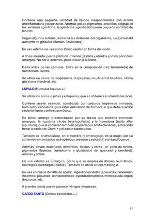 37
Contiene una pequeña cantidad de lípidos insaponificables con acción
antiinflamatoria y cicatrizante. Además posee pigmentos amarillos delgrupode
las xantonas (genticina, isogenticina y gentiósido) y una pequeña cantidad de
taninos.
Segun algunos autores, aumenta las defensas del organismo, a expensas del
aumento de glóbulos blancos (leucocitos).
En uso externo se usa como tónico capilar en forma de loción.
A dosis elevada, puede producir irritación gástrica y vómitos por los principios
amargos. No dar a lactantes, pues pasan a la leche.
Darla antes de las comidas. Entra en la composición (raíz fermentada) de
numerosos licores.
Se utiliza en casos de inapetencia, dispepsias, insuficiencia hepática, atonía
gástrica e intestinal, etc.
LUPULO (Humulus lupulus L.)
Se utiliza los conos o piñas y el lupulino, que se obtiene sacudiendo los conos.
Contiene aceite esencial, constituido por carburos terpénicos (mirceno,
humuleno, cannabina) y un ester valeriánico del borneol, al que debe suacción
sedante ligera y antiespasmódica.
Es tónico amargo y estomáquico por su resina que contiene principios
amargos, la lupulona (ácido beta-lupulínico) y la humulona (ácido alfa-
lupulínico), que le confieren también propiedades antibacterianas, sobre todo
frente a bacterias Gram + y el bacilo tuberculoso.
También es anafrodisíaco, en el hombre, y emenagogo, en la mujer, por su
contenido en derivados estrogénicos (estrona y estradiol) y antiandrógenos.
Además posee materiales minerales, lípidos y ceras, un poco de tanino,
pigmentos flavoicos (xantohumol y glucósidos del quercetol y kaenferol),
aminas y colina.
En uso externo es antialgico, por lo que se emplea en dolores reumáticos,
neuralgias (lumbagos, ciática). También se utiliza en cosmetología.
Se usa en casos de falta de apetito, digestiones lentas y pesadas,nerviosismo,
insomnio, jaquecas, convalecencias, eyaculación precoz, menopausia, reglas
dolorosas, etc.
A grandes dosis puede provocar vértigos y nauseas.
CARDO SANTO (Cnicus benedictus L.)
 