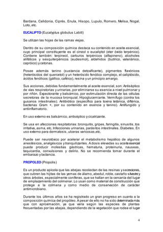 4
Bardana, Celidonia, Ciprés, Enula, Hisopo, Lupulo, Romero, Melisa, Nogal,
Loto, etc.
EUCALIPTO (Eucalyptus globulus Labill)
Se utilizan las hojas de las ramas viejas.
Dentro de su composición química destaca su contenido en aceite esencial,
cuyo principal constituyente es el cineol o eucaliptol (eter óxido terpénico).
Contiene también: terpineol, carburos terpénicos (alfapineno), alcoholes
alifáticos y sesquiterpénicos (eudesmol), aldehidos (butírico, valeriánico,
capróico) y cetonas.
Posee además tanino (sustancia detoxificante), pigmentos flavónicos
(heterósidos del quercetol) y un heterósido fenólico complejo, el caliptósido,
ácidos fenólicos (gállico, caféico), resina y un principio amargo.
Sus acciones, debidas fundamentalmente al aceite esencial, son: Antiséptico
de vías respiratorias y urinarias, por eliminarse su esencia a nivel pulmonar y
por riñón. Expectorante y balsámico, por estimulación directa de las células
secretoras de la mucosa bronquial. Hipoglucemiante. Vermífugo (contra los
gusanos intestinales). Antibiótico (específico para toxina tetánica, diftérica,
bacterias Gram +, por su contenido en esencia y tanino). Antifungido y
antiinflamatorio.
En uso externo es balsámico, antiséptico y cicatrizante.
Se usa en afecciones respitatorias: bronquitis, gripes, faringitis, sinusitis, tos
irritativa, asma, etc. Infecciones urinarias, parásitos intestinales. Diabetes. En
uso externo para dermatosis, ulceras varicosas,etc.
Puede ser neurotóxico por acelerar el metabolismo hepático de algunos
anestésicos, analgésicos y tranquilizantes. A dosis elevadas su aceiteesencial
puede producir molestias gástricas, hematuria, proteinuria, nauseas,
taquicardia, convulsiones y delirio. No se recomienda tomar durante el
embarazo y lactancia.
PROPOLEO (Propolis)
Es un producto apícola que las abejas recolectan de las resinas y secreciones,
que cubren las hijitas de las yemas de álamo, abedul, roble, castaño silvestrey
otros árboles, especialmente coníferas, que se hallan en la cercanía del lugar
de emplazamiento del colmenar. Lo usan como material de construcción que
protege a la colmena y como medio de conservación de carácter
antimicrobiano.
Durante los últimos años se ha registrado un gran progreso en cuanto a la
composición química del propóleo. A pesar de ello no ha sido determinadamás
que con aproximación, ya que varía según las especies de plantas
frecuentadas por las abejas, dependiendo de la vegetación que rodea el lugar
 