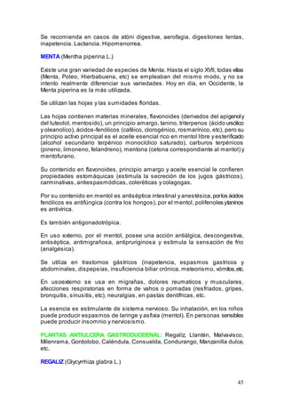 45
Se recomienda en casos de atóni digestiva, aerofagia, digestiones lentas,
inapetencia. Lactancia. Hipomenorrea.
MENTA (Mentha piperina L.)
Existe una gran variedad de especies de Menta. Hasta el siglo XVII, todas ellas
(Menta, Poleo, Hierbabuena, etc) se empleaban del mismo modo, y no se
intento realmente diferenciar sus variedades. Hoy en día, en Occidente, la
Menta piperina es la más utilizada.
Se utilizan las hojas y las sumidades floridas.
Las hojas contienen materias minerales, flavonoides (derivados del apigenoly
del luteolol, mentosido), un principio amargo, tanino, triterpenos (ácido ursólico
y oleanolico), ácidos-fenólicos (caféico, clorogénico, rosmarínico, etc), pero su
principio activo principal es el aceite esencial rico en mentol libre y esterificado
(alcohol secundario terpénico monocíclico saturado), carburos terpénicos
(pineno, limoneno, felandreno), mentona (cetona correspondiente al mentol) y
mentofurano.
Su contenido en flavonoides, principio amargo y aceite esencial le confieren
propiedades estomáquicas (estimula la secreción de los jugos gástricos),
carminativas, antiespasmódicas, coleréticas y colagogas.
Por su contenido en mentol es antiséptica intestinal y anestésica,porlos ácidos
fenólicos es antifúngica (contra los hongos), por el mentol, polifenoles ytaninos
es antivírica.
Es también antigonadotrópica.
En uso externo, por el mentol, posee una acción antiálgica, descongestiva,
antiséptica, antimigrañosa, antipruriginosa y estimula la sensación de frio
(analgésica).
Se utiliza en trastornos gástricos (inapetencia, espasmos gastricos y
abdominales, dispepsias, insuficiencia biliar crónica, meteorismo, vómitos,etc.
En usoexterno se usa en migrañas, dolores reumaticos y musculares,
afecciones respiratorias en forma de vahos o pomadas (resfriados, gripes,
bronquitis, sinusitis, etc), neuralgias, en pastas dentífricas, etc.
La esencia es estimulante de sistema nervioso. Su inhalación, en los niños
puede producir espasmos de laringe y asfixia (mentol). En personas sensibles
puede producir insomnio y nerviosismo.
PLANTAS ANTIULCERA GASTRODUODENAL: Regalíz, Llantén, Malvavisco,
Milenrama, Gordolobo, Caléndula, Consuelda, Condurango, Manzanilla dulce,
etc.
REGALIZ (Glycyrrhiza glabra L.)
 
