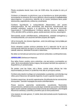 46
Planta empleada desde hace más de 3.000 años. Se emplea la raíz y el
rizoma.
Contiene un triterpeno: la glicirricina, que se transforma es ácido glicirrético,
aumentando la secreción de mucus gástrico y disminuyendo la secrecióndelos
pepsinógenos. La glicirricina, además de su acción antiúlcera tiene poder
edulcorante, expectorante, antitusivo y cicatrizante.
Contiene liquiritósido e isoliquiritósido (flavonoides) con acción
antiespasmódica. Se han encontrado otra flavonona recientemente con
actividad antiúlcera, superior a la glicirricina. Se trata de la 3-di-(metil-
hexunorato)-4, 7-dihidroxiflavonol. Contiene además: sucrosa, dextrosa (5-
10%), almidón (30%), proteína, grasa, aceite esencial, resinas, asparragina.
Demostrada acción antiinflamatoria, antibacteriana, actividad estrogénica y
mineralocorticoide, son acciones también propias del regaliz.
Util en bronquitis, tos úlceras digestivas , ardor de estómago, hemorroides yen
diversas dermatitis.
Dosis elevadas pueden producir pérdidas de K y retención de Ni con la
consiguiente retención de agua, lo cual puede producir hipertensión , dolor de
cabeza, edemas, debilidad muscular o calambres.
No debe ser tomado por personas que toman corticoides o antihipertensivos.
GORDOLOBO (Verbascum thapsus)
Sus tallos fureon usados como antorchas, una vez secos y sumergidos en
sebo. Se la consideraba hierba mágica. Se emplean también las especies V.
thapsiforme y V. pholomoides.
Se pieden usar las hojas, raíz y flores, siendo estas ultimas las más
recomendadas por tener un contenido más alto en principios activos.
Contiene abundante mucílago con propiedades suavizantes y emolientes,muy
útiles para irritaciones del aparato digestivo, la piel o aparato respiratorio.
Contiene saponinas, de acción expectorante y fluidificante de las secreciones
bronquiales. También harpagido de acción antiinflamatoria.
Posee esencia, pigmentos carotenoides, aucubósido, flavonoides
(hesperidosido y verbascosido) y quizá algún alcaloide que podría corroborarla
ligera acción sedante cardiaco(aumenta la fuerza de contracción y disminuyela
frecuencia cardiaca), sudorífico y diurético que se dice puede tener.
Una especie de este genero, V. nobile, tiene demostrada acción hipotensora
(Flavonoides).
 