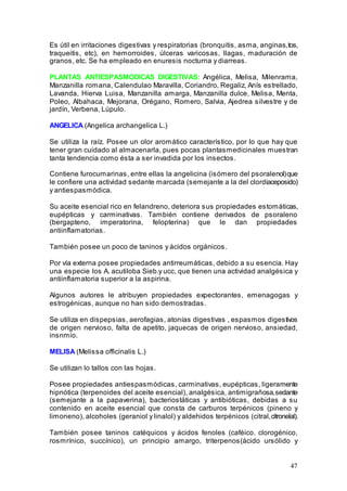47
Es útil en irritaciones digestivas y respiratorias (bronquitis, asma, anginas,tos,
traqueitis, etc), en hemorroides, úlceras varicosas, llagas, maduración de
granos, etc. Se ha empleado en enuresis nocturna y diarreas.
PLANTAS ANTIESPASMODICAS DIGESTIVAS: Angélica, Melisa, Milenrama,
Manzanilla romana, Calendulao Maravilla, Coriandro, Regaliz, Anís estrellado,
Lavanda, Hierva Luisa, Manzanilla amarga, Manzanilla dulce, Melisa, Menta,
Poleo, Albahaca, Mejorana, Orégano, Romero, Salvia, Ajedrea silvestre y de
jardín, Verbena, Lúpulo.
ANGELICA (Angelica archangelica L.)
Se utiliza la raíz. Posee un olor aromático característico, por lo que hay que
tener gran cuidado al almacenarla, pues pocas plantasmedicinales muestran
tanta tendencia como ésta a ser invadida por los insectos.
Contiene furocumarinas, entre ellas la angelicina (isómero del psoralenol)que
le confiere una actividad sedante marcada (semejante a la del clordiaceposido)
y antiespasmódica.
Su aceite esencial rico en felandreno, deteriora sus propiedades estomáticas,
eupépticas y carminativas. También contiene derivados de psoraleno
(bergapteno, imperatorina, felopterina) que le dan propiedades
antiinflamatorias.
También posee un poco de taninos y ácidos orgánicos.
Por vía externa posee propiedades antirreumáticas, debido a su esencia. Hay
una especie los A. acutiloba Sieb.y ucc, que tienen una actividad analgésica y
antiinflamatoria superior a la aspirina.
Algunos autores le atribuyen propiedades expectorantes, emenagogas y
estrogénicas, aunque no han sido demostradas.
Se utiliza en dispepsias, aerofagias, atonías digestivas , espasmos digestivos
de origen nervioso, falta de apetito, jaquecas de origen nervioso, ansiedad,
insnmio.
MELISA (Melissa officinalis L.)
Se utilizan lo tallos con las hojas.
Posee propiedades antiespasmódicas, carminativas, eupépticas, ligeramente
hipnótica (terpenoides del aceite esencial), analgésica, antimigrañosa,sedante
(semejante a la papaverina), bacteriostáticas y antibióticas, debidas a su
contenido en aceite esencial que consta de carburos terpénicos (pineno y
limoneno), alcoholes (geraniol y linalol) y aldehidos terpénicos (citral,citronelal).
También posee taninos catéquicos y ácidos fenoles (caféico. clorogénico,
rosmrínico, succínico), un principio amargo, triterpenos(ácido ursólido y
 