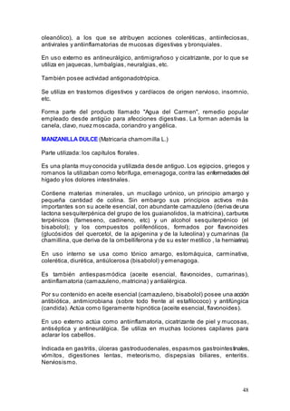 48
oleanólico), a los que se atribuyen acciones coleréticas, antiinfeciosas,
antivirales y antiinflamatorias de mucosas digestivas y bronquiales.
En uso externo es antineurálgico, antimigrañoso y cicatrizante, por lo que se
utiliza en jaquecas, lumbalgias, neuralgias, etc.
También posee actividad antigonadotrópica.
Se utiliza en trastornos digestivos y cardíacos de origen nervioso, insomnio,
etc.
Forma parte del producto llamado "Agua del Carmen", remedio popular
empleado desde antigüo para afecciones digestivas. La forman además la
canela, clavo, nuez moscada, coriandro y angélica.
MANZANILLA DULCE (Matricaria chamomilla L.)
Parte utilizada: los capítulos florales.
Es una planta muy conocida y utilizada desde antiguo. Los egipcios, griegos y
romanos la utilizaban como febrífuga, emenagoga, contra las enfermedades del
hígado y los dolores intestinales.
Contiene materias minerales, un mucílago urónico, un principio amargo y
pequeña cantidad de colina. Sin embargo sus principios activos más
importantes son su aceite esencial, con abundante camazuleno (deriva deuna
lactona sesquiterpénica del grupo de los guaianolidos, la matricina), carburos
terpénicos (farneseno, cadineno, etc) y un alcohol sesquiterpénico (el
bisabolol); y los compuestos polifenólicos, formados por flavonoides
(glucósidos del quercetol, de la apigenina y de la luteolina) y cumarinas (la
chamillina, que deriva de la ombelliferona y de su ester metílico , la herniarina).
En uso interno se usa como tónico amargo, estomáquica, carminativa,
colerética, diurética, antiúlcerosa (bisabolol) y emenagoga.
Es también antiespasmódica (aceite esencial, flavonoides, cumarinas),
antiinflamatoria (camazuleno, matricina) y antialérgica.
Por su contenido en aceite esencial (camazuleno, bisabolol) posee una acción
antibiótica, antimicrobiana (sobre todo frente al estafilococo) y antifúngica
(candida). Actúa como ligeramente hipnótica (aceite esencial, flavonoides).
En uso externo actúa como antiinflamatoria, cicatrizante de piel y mucosas,
antiséptica y antineurálgica. Se utiliza en muchas lociones capilares para
aclarar los cabellos.
Indicada en gastritis, úlceras gastroduodenales, espasmos gastrointestinales,
vómitos, digestiones lentas, meteorismo, dispepsias biliares, enteritis.
Nerviosismo.
 