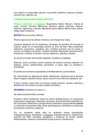 49
Uso externo en estomatitis, glositis, conjuntivitis, blefaritis, eczemas, heridas,
contusiones, vaginitis, etc.
PLANTAS QUE ACTUAN A NIVEL HEPATICO
Plantas colereticas y colagogas: Alcachofera, Boldo, Romero, Diente de
León, Tomillo, Fumaria, Milenrama, Bardana, Ajenjo, Achicoria, Helenio,
Helicriso, Agrimonia, Lavanda, Manzanilla dulce, Melisa, Menta, Poleo, Salvia,
Ortiga verde, Celidonia.
BOLDO (Peumus boldus Molina)
Planta originaria de los Andes Chilenos. Se emplean las hojas.
Contiene alrededor de 20 alcaloides, derivados de aporfina. El principal, la
boldina, existe en un porcentaje próximo al 30% del total. Otros alcaloides
(reticulina, isocoridina, sparteina, etc). Contiene esencia rica en cineol, p-
cimeno, eucaliptol y ascaridol. Contiene también flavonoides (pneumosido y
boldosido), materias minerales, ácidos oegánicos, glúcidos y lípidos.
Su acción principal: estimulante digestivo, colerético y colagogo.
Además, acción diuretica, acción sedante del sistema nervioso (debido a la
boldina), acción antihelmíntica (ascaridol). A dosis altas es hipnótico y
anestésico.
El aceite esencial tiene propiedades antiinflamatorias y carminativas.
Se recomienda en digestiones lentas, flatulencias, trastornos de la vesícula
biliar e hígado, cálculos biliares, típico insonmio de enfermos hepáticos, etc.
A dosis fuertes, sobre todo la esencia, puede producir, vómitos, diarreas y
alteraciones del sistema nervioso (efecto narcótico).
CELIDONIA (Chelidonium majus L.)
Se utiliza la planta entera y el latex.
Contiene: Acido chelidónico (Gamma pirona dicarbónico) es un compuesto
heterocíclico oxigenado. Alcaloides derivados de la fenantridina (chelidonina,
es la principal, cheleritrina y sanguinarina) y derivados isoquinoléicos:protopina
y sustancias semejantes (alfa y beta allocriptopina) y berberina y sustancias
semejantes (coptisina, stilopina).
Por su contenido sobre todo en alcaloide posee propiedades
antiespasmódicas, coleréticas y colagogas, hipolipemiante (ac. chelidónico),
sedante del SNC, hipnótica, analgésica y antitusivo de acción central.
Antiasmáticas, antivírico y antimitótica (sanguinarina y chelidonina).
 