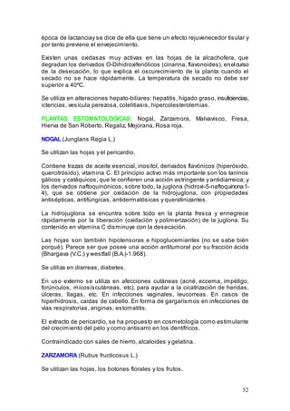 52
época de lactanciay se dice de ella que tiene un efecto rejuvenecedor tisular y
por tanto previene el envejecimiento.
Existen unas oxidasas muy activas en las hojas de la alcachofera, que
degradan los derivados O-Dihidroxifenólicos (cinarina, flavonoides), enelcurso
de la desecación, lo que explica el oscurecimiento de la planta cuando el
secado no se hace rápidamente. La temperatura de secado no debe ser
superior a 40ºC.
Se utiliza en alteraciones hepato-biliares: hepatitis, hígado graso, insuficiencias,
ictericias, vesícula perezosa, colelitiasis, hipercolesterolemias.
PLANTAS ESTOMATOLOGICAS: Nogal, Zarzamora, Malvavisco, Fresa,
Hierva de San Roberto, Regaliz, Mejorana, Rosa roja.
NOGAL (Junglans Regia L.)
Se utilizan las hojas y el pericardio.
Contiene trazas de aceite esencial, inositol, derivados flavónicos (hiperósido,
quercitrósido), vitamina C. El principio activo más importante son los taninos
gálicos y catéquicos, que le confieren una acción astringente y antidiarreica; y
los derivados naftoquinónicos, sobre todo, la juglona (hidroxi-5-naftoquinona1-
4), que se obtiene por oxidación de la hidrojuglona, con propiedades
antisépticas, antifúngicas, antidermatósicas y queratinizantes.
La hidrojuglona se encuntra sobre todo en la planta fresca y ennegrece
rápidamente por la liberación (oxidación y polimerización) de la juglona. Su
contenido en vitamina C disminuye con la desecación.
Las hojas son también hipotensoras e hipoglucemiantes (no se sabe bién
porqué). Parece ser que posee una acción antitumoral por su fracción ácida
(Bhargava (V.C.) y westfall (B.A.)-1.968).
Se utiliza en diarreas, diabetes.
En uso externo se utiliza en afecciones cutáneas (acné, eccema, impétigo,
forúnculos, micosiscutáneas, etc), para ayudar a la cicatrización de heridas,
úlceras, llagas, etc. En infecciones vaginales, leucorreas. En casos de
hiperhidrosis, caidas de cabello. En forma de gargarismos en infecciones de
vías respiratorias, anginas, estomatitis.
El extracto de pericardio, se ha propuesto en cosmetología como estimulante
del crecimiento del pelo y como antisarro en los dentífricos.
Contraindicado con sales de hierro, alcaloides y gelatina.
ZARZAMORA (Rubus fructicosus L.)
Se utilizan las hojas, los botones florales y los frutos.
 