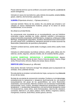 56
Posee además taninos que le confieren una acción astringente, ysustancias de
acción estrogénica.
Indicado en casos de reumatismos, gota, dolores de espalda, estados febriles,
gripes, catarros, dismenorreas, jaquecas, etc.
ULMARIA (Filipendula ulmaria L. = Spiraea ulmaria L.)
Llamada también Reina de los prados. Es una planta que empezó a ser
utilizada en época relativamente moderna, porque al no darse en zonas
mediterráneas, no se conocía.
Se utiliza la sumidad florida.
Su componente más importante es un monotropitósido, que por hidrólisis
enzimática origina salicilato de metilo, aldehido salicílico y primaverosa,
proporcionándole propiedades antiinflamatoria, analgésica, antiespasmódica,
febrífuga, antiagregante plaquetario, diurética, favorecedora de la eliminación
de urea y ácido úrico, y antilitiasica. Intervienen también en estas acciones los
flavonoides (heterósidos de quercitina y Kampferol).
También contiene taninos, aceite volatil, mucílagos, ácido cítrico, azufre, hierro
y calcio.
Indicada en enfermedades reumáticas (artrosis, artritis, gota, ciática, etc). En
edemas, ascitis, oligurias, cálculos renales, etc. En estados febriles, gripes.
PLANTAS DIURETICAS, DEPURATIVAS Y ANTIRREUMATICAS: Abedul,
Borraja, Cardo santo, Diente de león, Fresno, Cola de caballo, Grama, Ortiga
verde, Pensamiento, Ulmaria, Rabos de cereza, Saúco, Enebro.
DIENTE DE LEON (Taraxacum gr. officinale)
Esta planta, llamada "achicoria amarga" fué utilizada para la preparación de
cervezas, vinos y bebidas tónicas.
De esta planta se emplean normalmente las hojas, aunque es muy interesante
el uso de las raíces.
Se trata de una planta de composición compleja. Contiene un principioamargo,
probablemente la lactupicrina o taraxacina (químicamente es una lactona
esequiterpénica del grupo de los guaianólidos), así como flavonoides
(luteolóxido, cosmosiósido). Además contiene una complicada mezcladeotros
componentes como: inulina, derivados triterpénicos pentacíclicos (taraxérol,
taraxasterol...), carotenoides (taraxantina), una resina ácida (taraxerina), ácido
3-4-dioxicinámico, ácido cítrico, ácido feniloxiacético, vitamina B2, citosterol,
cumestrol, vitamina C y A, calcio, potasio, hierro, fósforo, magnesio, selenio,
manganeso, enzimas, ácido fólico, ácidos grasos, taninos.
 