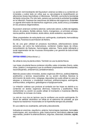 59
La acción remineralizante del Equisetum arvense se debe a su contenido en
minerales y sobre todo en sílice que su vez prepara la recalcificación en
afecciones óseas traumáticas o infecciosas. También, aumenta la resistencia
del tejido conjuntivo. Por otro lado, parece que aumenta la actividad leucocitoria
en la infección. Favorece las reacciones de defensa del organismo.Es también
un agente eliminador de deshechos orgánicos (urea, ácido úrico) y unabarrera
en los procesos degenerativos.
Equisetum arvensen contiene además: carbonato calcico, sulfato demagnesio,
cloruro de potasio, fosfato cálcico, hierro, manganeso, un principio amargo,
resina pectina, ácido linoleico, ácido oléico, ácido esteárico, equisetina.
Otras propiedades de esta planta son: astringente, cicatrizante, hemostáticay
diurética. Favorece la asimilación de fósforo.
Es de una gran utilidad en procesos reumáticos, arteriosclerosis (estas
personas, así como los tuberculosos, contienen niveles bajos de sílice),
consolidación de fracturas, hemorragias, edemas. Tiene poder reforzante y
quizá regenerador de las mucosas bronquiales y en general de todo el trato
respiratorio.
ORTIGA VERDE (Urtica dioica L.)
Se utiliza la raíz y la planta entera. También se usa la planta fresca.
Las hojas y la planta fresca contienen clorofila, sales minerales (hierro, calcio,
sílice, potasio y manganeso) que le confieren propiedades remineralizantes,
reconstituyentes, antianémica y antiateromatosa.
Además posee sales minerales, ácidos orgánicos (fórmico, acético),histamina,
acetilcolina y taninos responsables de su acción diurética, favorece la
eliminación de ácido úrico, colagoga, depurativa (se suele utilizar en caso de
alergias a moluscos u crustáceos marinos), antihemorragica, astringente,
antirreumático, antigotoso, galactógena e hipoglucemiante.
La irritación cutánea que produce el contacto con las hojas es debido a su
contenido en ácidos orgánicos (fórmico), histamina y acetilcolina. Para
contrarrestar su acción se puede utilizar el mentastro o mastranzo (Mentha
rotundifolia), la romaza o la malva.
La raíz es muy rica en taninos que le confieren una acción astringente. En
forma de extracto alcohólico se utiliza en el adenoma de próstata, ya que
mejora los trastornos miccionales en la hipertrofia benigna de próstata.
En uso externo es cicatrizante, calmante y desodorante.
Indicada en anemias, raquitismo, astenia, hemorragias (epistaxis, hemoptisis,
metrorragias, etc), reumatismo, gota, hiperuricemia, dermatosis,edemas,curas
depurativas, prevenir la arteriosclerosis, oligurias, obesidad, diabetes,vaginitis,
etc.
 