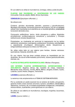 60
En uso externo se utiliza en reumatismos, lumbago, ciática y caída de pelo.
PLANTAS QUE FAVORECEN LA CICATRIZACION DE LOS HUESOS:
Consuelda, Cola de caballo, Alfalfa, Arnica, Equinacea.
CONSUELDA (Symphytum officinale L.)
Se utiliza la raíz.
Contiene, glúcidos abundantes (almidón, sacarosa y glucofructosano).
Mucílagos abundantes: bornesitol (polímero de fructosa). Uno de sus principios
activos más importantes es la alantoína es un diuréido glioxílico, provenientede
la escisión del ácido úrico.
Compuesto polifenólicos: tanino, ácido clorogénico y caféico. Alcaloides
pirrolizidinicos (sinfitocinoglosina, consolicina y consolidina ). Principio
antihormonal: el ácido litospérmico.
Propiedades: es cicatrizante por estimular la regeneración de los tejidos
(alantoína), antiulceroso, astringente y antidiarreico. Emoliente, antiinflamatorio
y expectorante (mucílagos). Anticonceptivo (ácido litospérmico) y
antigonadotrípico (bloquea la síntesis de FSH y LH).
Se utiliza sobre todo en uso externo para heridas, úlceras varicosas,
quemaduras, fracturas, tendinitis, etc.
En uso interno, hay que tener cuidado porque es hepatotóxico por los
alcaloides. Se usa en enfermedades pulmonares, úlceras gastroduodenales,
diarreas, etc.
PLANTAS ESTIMULANTES NEUROMUSCULARES: Alholva o Fenogreco.
USO EXTERNO: PLANTAS ANTIRREUMATICAS, ANTIINFLMATORIAS Y
ANALGESICAS: Angelica, Arnica, Ajo, Castaño de indias, Calendula,
Manzanilla dulce, Romero, Tomillo, Menta, Melisa, Jengibre, Enebro, Ciprés,
Lavanda, Laurel, Hiedra, Orégano, Trementina.
LAVANDA (Lavandula officinalis L.)
La veremos más ampliamente en el TEMA DE SISTEMA NERVIOSO.
Por su contenido en aceite esencial rico en esteres de linalilo y de geranilo,
geraniol, linalol, cineol, borneol, limoneno, l-pineno, cariofilleno, eteres butiricoy
valerianico, cumarina, etc, le confiere propiedades analgésicas, antisépticas,
antireumáticas, cicatrizantes y antimigrañosas en uso externo.
Se utiliza en uso externo en reumatismos, neuralgias, migrañas, leucorreas,
heridas, etc.
LAUREL (Laurus nobilis L.)
 