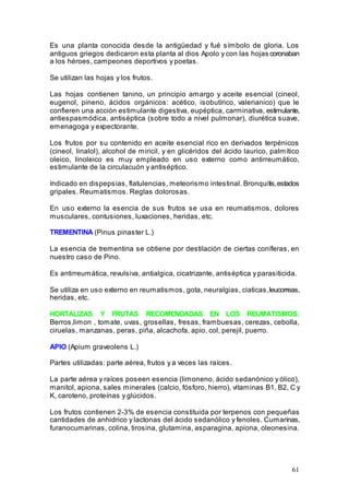 61
Es una planta conocida desde la antigüedad y fué símbolo de gloria. Los
antiguos griegos dedicaron esta planta al dios Apolo y con las hojas coronaban
a los héroes, campeones deportivos y poetas.
Se utilizan las hojas y los frutos.
Las hojas contienen tanino, un principio amargo y aceite esencial (cineol,
eugenol, pineno, ácidos orgánicos: acético, isobutírico, valerianico) que le
confieren una acción estimulante digestiva, eupéptica, carminativa, estimulante,
antiespasmódica, antiséptica (sobre todo a nivel pulmonar), diurética suave,
emenagoga y expectorante.
Los frutos por su contenido en aceite esencial rico en derivados terpénicos
(cineol, linalol), alcohol de miricil, y en glicéridos del ácido laurico, palmítico
oleico, linoleico es muy empleado en uso externo como antirreumático,
estimulante de la circulacuón y antiséptico.
Indicado en dispepsias, flatulencias, meteorismo intestinal. Bronquitis,estados
gripales. Reumatismos. Reglas dolorosas.
En uso externo la esencia de sus frutos se usa en reumatismos, dolores
musculares, contusiones, luxaciones, heridas, etc.
TREMENTINA (Pinus pinaster L.)
La esencia de trementina se obtiene por destilación de ciertas coníferas, en
nuestro caso de Pino.
Es antirreumática, revulsiva, antialgica, cicatrizante, antiséptica y parasiticida.
Se utiliza en uso externo en reumatismos, gota, neuralgias, ciaticas,leucorreas,
heridas, etc.
HORTALIZAS Y FRUTAS RECOMENDADAS EN LOS REUMATISMOS:
Berros,limon , tomate, uvas, grosellas, fresas, frambuesas, cerezas, cebolla,
ciruelas, manzanas, peras, piña, alcachofa, apio, col, perejil, puerro.
APIO (Apium graveolens L.)
Partes utilizadas: parte aérea, frutos y a veces las raíces.
La parte aérea y raíces poseen esencia (limoneno, ácido sedanónico y ólico),
manitol, apiona, sales minerales (calcio, fósforo, hierro), vitaminas B1, B2, C y
K, caroteno, proteínas y glúcidos.
Los frutos contienen 2-3% de esencia constituida por terpenos con pequeñas
cantidades de anhidrico y lactonas del ácido sedanólico y fenoles. Cumarinas,
furanocumarinas, colina, tirosina, glutamina, asparagina, apiona, oleonesina.
 