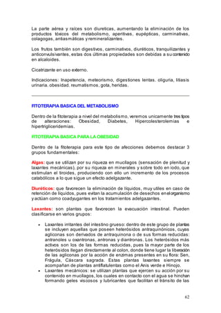 62
La parte aérea y raíces son diureticas, aumentando la eliminación de los
productos tóxicos del metabolismo, aperitivas, eupépticas, carminativas,
colagogas, antiasmáticas y remineralizantes.
Los frutos también son digestivos, carminativos, diuréticos, tranquilizantes y
anticonvulsivantes, estas dos últimas propiedades son debidas a su contenido
en alcaloides.
Cicatrizante en uso externo.
Indicaciones: Inapetencia, meteorismo, digestiones lentas. oliguria, litiasis
urinaria. obesidad. reumatismos, gota, heridas.
FITOTERAPIA BASICA DEL METABOLISMO
Dentro de la fitoterapia a nivel del metabolismo, veremos unicamente tres tipos
de alteraciones: Obesidad, Diabetes, Hipercolesterolemias e
hipertrigliceridemias.
FITOTERAPIA BASICA PARA LA OBESIDAD
Dentro de la fitoterapia para este tipo de afecciones debemos destacar 3
grupos fundamentales:
Algas: que se utilizan por su riqueza en mucílagos (sensación de plenitud y
laxantes mecánicas), por su riqueza en minerales y sobre todo en iodo, que
estimulan el tiroides, produciendo con ello un incremento de los procesos
catabólicos a lo que sigue un efecto adelgazante.
Diuréticos: que favorecen la eliminación de líquidos, muy utiles en caso de
retención de líquidos, pues evitan la acumulación de desechos enelorganismo
y actúan como coadyugantes en los tratamientos adelgazantes.
Laxantes: son plantas que favorecen la evacuación intestinal. Pueden
clasificarse en varios grupos:
• Laxantes irritantes del intestino grueso: dentro de este grupo de plantas
se incluyen aquellas que poseen heterósidos antraquinónicos, cuyas
agliconas son derivados de antraquinona o de sus formas reducidas:
antranoles u oxantronas, antronas y diantronas. Los heterósidos más
activos son los de las formas reducidas, pues la mayor parte de los
heterósidos llegan directamente al colon, donde tiene lugar la liberación
de las agliconas por la acción de enzimas presentes en su flora: Sen,
Frágula, Cáscara sagrada. Estas plantas laxantes siempre se
acompañan de plantas antiflatulentas como el Anis verde e Hinojo.
• Laxantes mecánicos: se utilizan plantas que ejercen su acción por su
contenido en mucílagos, los cuales en contacto con el agua se hinchan
formando geles viscosos y lubricantes que facilitan el tránsito de las
 