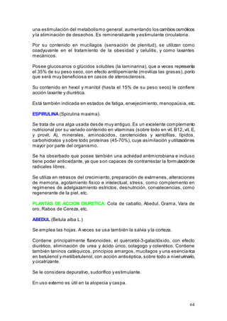 64
una estimulación del metabolismo general, aumentando los cambios osmóticos
y la eliminación de desechos. Es remineralizante y estimulante circulatoria.
Por su contenido en mucílagos (sensación de plenitud), se utilizan como
coadyuvante en el tratamiento de la obesidad y celulitis, y como laxantes
mecánicos.
Posee glucosanos o glúcidos solubles (la laminarina), que a veces representa
el 35% de su peso seco, con efecto antilipemiante (moviliza las grasas), porlo
que será muy beneficiosa en casos de aterosclerosis.
Su contenido en hexol y manitol (hasta el 15% de su peso seco) le confiere
acción laxante y diurética.
Está también indicada en estados de fatiga, envejecimiento, menopaúsia, etc.
ESPIRULINA (Spirulina maxima).
Se trata de una alga usada desde muy antiguo. Es un excelente complemento
nutricional por su variado contenido en vitaminas (sobre todo en vit. B12, vit. E,
y provit. A), minerales, aminoácidos, carotenoides y xantofilas, lípidos,
carbohidratos y sobre todo proteínas (45-70%), cuya asimilación y utilizaciónes
mayor por parte del organismo.
Se ha obserbado que posee también una actividad antimicrobiana e incluso
tiene poder antioxidante, ya que son capaces de contrarrestar la formulaciónde
radicales libres.
Se utiliza en retrasos del crecimiento, preparación de exámenes, alteraciones
de memoria, agotamiento fisico e intelectual, stress, como complemento en
regímenes de adelgazamiento estrictos, desnutrición, convalecencias, como
regenerante de la piel, etc.
PLANTAS DE ACCION DIURETICA: Cola de caballo, Abedul, Grama, Vara de
oro, Rabos de Cereza, etc.
ABEDUL (Betula alba L.)
Se emplea las hojas. A veces se usa también la salvia y la corteza.
Contiene principalmente flavonoides, el quercetol-3-galactósido, con efecto
diurético, eliminación de urea y ácido úrico, colagogo y colerético. Contiene
también taninos catéquicos, principios amargos, mucílagos y una esenciarica
en betulenol y metilbetulenol, con acción antiséptica, sobre todo a nivelurinario,
y cicatrizante.
Se le considera depurativo, sudorífico y estimulante.
En uso externo es útil en la alopecia y caspa.
 