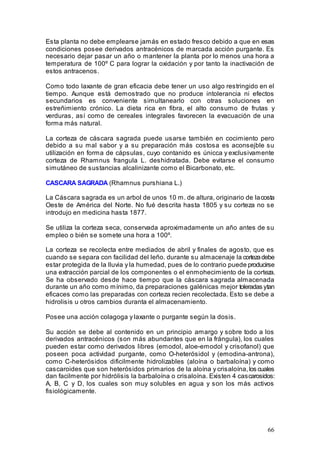 66
Esta planta no debe emplearse jamás en estado fresco debido a que en esas
condiciones posee derivados antracénicos de marcada acción purgante. Es
necesario dejar pasar un año o mantener la planta por lo menos una hora a
temperatura de 100º C para lograr la oxidación y por tanto la inactivación de
estos antracenos.
Como todo laxante de gran eficacia debe tener un uso algo restringido en el
tiempo. Aunque está demostrado que no produce intolerancia ni efectos
secundarios es conveniente simultanearlo con otras soluciones en
estreñimiento crónico. La dieta rica en fibra, el alto consumo de frutas y
verduras, así como de cereales integrales favorecen la evacuación de una
forma más natural.
La corteza de cáscara sagrada puede usarse también en cocimiento pero
debido a su mal sabor y a su preparación más costosa es aconsejble su
utilización en forma de cápsulas, cuyo contanido es únicca y exclusivamente
corteza de Rhamnus frangula L. deshidratada. Debe evitarse el consumo
simutáneo de sustancias alcalinizante como el Bicarbonato, etc.
CASCARA SAGRADA (Rhamnus purshiana L.)
La Cáscara sagrada es un arbol de unos 10 m. de altura, originario de lacosta
Oeste de América del Norte. No fué descrita hasta 1805 y su corteza no se
introdujo en medicina hasta 1877.
Se utiliza la corteza seca, conservada aproximadamente un año antes de su
empleo o bién se somete una hora a 100º.
La corteza se recolecta entre mediados de abril y finales de agosto, que es
cuando se separa con facilidad del leño. durante su almacenaje la cortezadebe
estar protegida de la lluvia y la humedad, pues de lo contrario puede producirse
una extracción parcial de los componentes o el enmohecimiento de la corteza.
Se ha observado desde hace tiempo que la cáscara sagrada almacenada
durante un año como mínimo, da preparaciones galénicas mejor toleradas ytan
eficaces como las preparadas con corteza recien recolectada. Esto se debe a
hidrolisis u otros cambios duranta el almacenamiento.
Posee una acción colagoga y laxante o purgante según la dosis.
Su acción se debe al contenido en un principio amargo y sobre todo a los
derivados antracénicos (son más abundantes que en la frángula), los cuales
pueden estar como derivados libres (emodol, aloe-emodol y crisofanol) que
poseen poca actividad purgante, como O-heterósidol y (emodina-antrona),
como C-heterósidos dificilmente hidrolizables (aloína o barbaloína) y como
cascaroides que son heterósidos primarios de la aloína y crisaloína,los cuales
dan facilmente por hidrólisis la barbaloína o crisaloína. Existen 4 cascarosidos:
A, B, C y D, los cuales son muy solubles en agua y son los más activos
fisiológicamente.
 