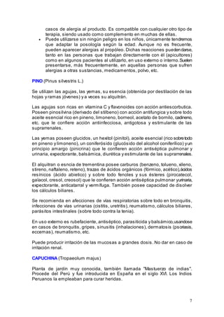 7
casos de alergia al producto. Es compatible con cualquier otro tipo de
terapia, siendo usado como complemento en muchas de ellas.
• Puede utilizarse sin ningún peligro en los niños, únicamente tendremos
que adaptar la posología según la edad. Aunque no es frecuente,
pueden aparecer alergias al propóleo. Dichas reacciones puedendarse,
tanto en las personas que trabajan directamente con él (apicultores)
como en algunos pacientes al utilizarlo, en uso externo o interno.Suelen
presentarse, más frecuentemente, en aquellas personas que sufren
alergias a otras sustancias, medicamentos, polvo, etc.
PINO (Pinus silvestris L.)
Se utilizan las agujas, las yemas, su esencia (obtenida por destilación de las
hojas y ramas jóvenes) y a veces su alquitrán.
Las agujas son ricas en vitamina C y flavonoides con acción antiescorbutica.
Poseen pinosilvina (derivado del stilbeno) con acción antifungica y sobre todo
aceite esencial rico en pineno, limoneno, borneol, acetato de bornilo, cadineno,
etc. que le confiere acción antiinfecciosa, antigotosa y estimulante de las
suprarrenales.
Las yemas poseen glucidos, un hexitol (pinitol), aceite esencial (rico sobretodo
en pineno y limoneno), un coniferósido (glucósido del alcohol coniferílico) yun
principio amargo (pinicrina) que le confieren acción antiséptica pulmonar y
urinaria, expectorante, balsámica, diurética y estimulante de las suprarrenales.
El alquitran o esncia de trementina posee carburos (benzeno, tolueno, xileno,
stireno, naftaleno, reteno), trazas de ácidos orgánicos (fórmico, acético),ácidos
resínicos (ácido abietico) y sobre todo fenoles y sus ésteres (pirocatecol,
gaïacol, cresol, creosol) que le confieren acción antiséptica pulmonar yurinaria,
expectorante, anticatarral y vermífuga. También posee capacidad de disolver
los cálculos biliares.
Se recomienda en afecciones de vías respiratorias sobre todo en bronquitis,
infecciones de vías urinarias (cistitis, uretritis), reumatismo, cálculos biliares,
parásitos intestinales (sobre todo contra la tenia).
En uso externo es rubefaciente, antiséptico, parasiticida y balsámico,usandose
en casos de bronquitis, gripes, sinusitis (inhalaciones), dermatosis (psoriasis,
eccemas), reumatismo, etc.
Puede producir irritación de las mucosas a grandes dosis. No dar en caso de
irritación renal.
CAPUCHINA (Tropaeolum majus)
Planta de jardín muy conocida, también llamada "Mastuerzo de indias".
Procede del Perú y fue introducida en España en el siglo XVI. Los Indios
Peruanos la empleaban para curar heridas.
 