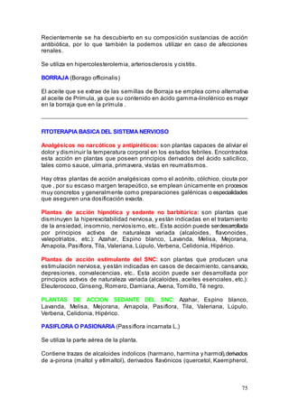 75
Recientemente se ha descubierto en su composición sustancias de acción
antibiótica, por lo que también la podemos utilizar en caso de afecciones
renales.
Se utiliza en hipercolesterolemia, arteriosclerosis y cistitis.
BORRAJA (Borago officinalis)
El aceite que se extrae de las semillas de Borraja se emplea como alternativa
al aceite de Prímula, ya que su contenido en ácido gamma-linolénico es mayor
en la borraja que en la prímula .
FITOTERAPIA BASICA DEL SISTEMA NERVIOSO
Analgésicos no narcóticos y antipiréticos: son plantas capaces de aliviar el
dolor y disminuir la temperatura corporal en los estados febriles. Encontrados
esta acción en plantas que poseen principios derivados del ácido salicílico,
tales como sauce, ulmaria, primavera, vistas en reumatismos.
Hay otras plantas de acción analgésicas como el acónito, cólchico, cicuta por
que , por su escaso margen terapeútico, se emplean únicamente en procesos
muy concretos y generalmente como preparaciones galénicas o especialidades
que aseguren una dosificación exacta.
Plantas de acción hipnótica y sedante no barbitúrica: son plantas que
disminuyen la hiperexcitabilidad nerviosa, y están indicadas en el tratamiento
de la ansiedad, insomnio, nerviosismo, etc.. Esta acción puede serdesarrollada
por principios activos de naturaleza variada (alcaloides, flavonoides,
valepotriatos, etc.): Azahar, Espino blanco, Lavanda, Melisa, Mejorana,
Amapola, Pasiflora, Tila, Valeriana, Lúpulo, Verbena, Celidonia, Hipérico.
Plantas de acción estimulante del SNC: son plantas que producen una
estimulación nerviosa, y están indicadas en casos de decaimiento, cansancio,
depresiones, convalecencias, etc.. Esta acción puede ser desarrollada por
principios activos de naturaleza variada (alcaloides, aceites esenciales, etc.):
Eleuterococo, Ginseng, Romero, Damiana, Avena, Tomillo, Té negro.
PLANTAS DE ACCION SEDANTE DEL SNC: Azahar, Espino blanco,
Lavanda, Melisa, Mejorana, Amapola, Pasiflora, Tila, Valeriana, Lúpulo,
Verbena, Celidonia, Hipérico.
PASIFLORA O PASIONARIA (Passiflora incarnata L.)
Se utiliza la parte aérea de la planta.
Contiene trazas de alcaloides indolicos (harmano, harmina y harmol),derivados
de a-pirona (maltol y etlmaltol), derivados flavónicos (quercetol, Kaempherol,
 