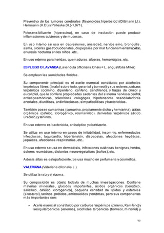 77
Preventivo de los tumores cerebrales (flavonoides:hiperósido) (Dittmann (J.),
Herrmann (H.D.) y Palleske (H.)-1.971).
Fotosensibilizante (hiperacina), en caso de insolación puede producir
inflamaciones cutáneas y de mucosas.
En uso interno se usa en depresiones, ansiedad, nerviosismo, bronquitis,
asma, úlceras gastroduodenales, dispepsias por mal funcionamientohepático,
enuresis nocturna en los niños, etc..
En uso externo para heridas, quemaduras, úlceras, hemorrágias, etc.
ESPLIEGO O LAVANDA (Lavandula officinalis Chaix = L. angustifolia Miller)
Se emplean las sumidades floridas.
Su componente principal es el aceite esencial constituido por alcoholes
terpénicos libres (linalol sobre todo, geraniol y borneol) y sus esteres,carburos
terpénicos (ocimino, dipenteno, canfeno, cariofileno), y trazas de cineol y
eucaliptol, que le confiere propiedades sedantes del sistema nervioso central,
antiespasmódicas, coleréticas, colagogas, hipotensoras, vasodilatadoras
arteriales, diuréticas, antiinfecciosas, simpaticolíticas y bactericidas.
También posee cumarinas (cumarina, propiamente dicha y herniarina), ácidos
orgánicos (caféico, clorogénico, rosmarínico), derivados terpénicos (ácido
ursólico) y taninos.
En uso externo es bactericida, antiséptico y cicatrizante.
Se utiliza en uso interno en casos de irritabilidad, insomnio, enfermedades
infecciosas, taquicardia, hipertensión, dispepsias, afecciones hepáticas,
jaquecas, afecciones respiratorias, etc..
En uso externo se usa en dermatosis, infecciones cutáneas benignas,heridas,
dolores reumáticos, distonias neurovegetativas (baños), etc.
A dosis altas es estupafaciente. Se usa mucho en perfumeria y cosmética.
VALERIANA (Valeriana oficinalis L.)
Se utiliza la raíz y el rizoma.
Su composición es objeto todavía de muchas investigaciones. Contiene
materias minerales, glúcidos importantes, ácidos orgánicos (benzóico,
salicílico, caféico, clorogénico), pequeña cantidad de lípidos y esteroles
(sitosterol), taninos, prótidos, aminoácidos y enzimas, pero sus componentes
más importantes son:
• Aceite esencial constituido por carburos terpénicos (pineno, Kamfeno)y
sesquiterpénicos (valenos), alcoholes terpénicos (borneol, mirtenol) y
 