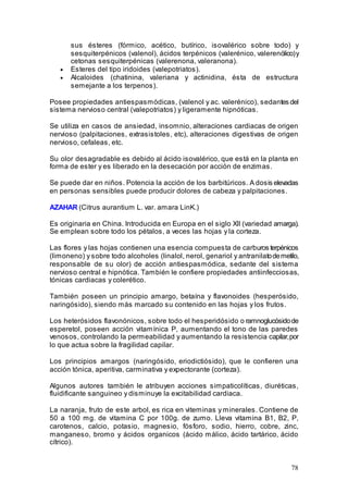 78
sus ésteres (fórmico, acético, butírico, isovalérico sobre todo) y
sesquiterpénicos (valenol), ácidos terpénicos (valerénico, valerenólico)y
cetonas sesquiterpénicas (valerenona, valeranona).
• Esteres del tipo iridoides (valepotriatos).
• Alcaloides (chatinina, valeriana y actinidina, ésta de estructura
semejante a los terpenos).
Posee propiedades antiespasmódicas, (valenol y ac. valerénico), sedantes del
sistema nervioso central (valepotriatos) y ligeramente hipnóticas.
Se utiliza en casos de ansiedad, insomnio, alteraciones cardiacas de origen
nervioso (palpitaciones, extrasistoles, etc), alteraciones digestivas de origen
nervioso, cefaleas, etc.
Su olor desagradable es debido al ácido isovalérico, que está en la planta en
forma de ester y es liberado en la desecación por acción de enzimas.
Se puede dar en niños. Potencia la acción de los barbitúricos. A dosis elevadas
en personas sensibles puede producir dolores de cabeza y palpitaciones.
AZAHAR (Citrus aurantium L. var. amara LinK.)
Es originaria en China. Introducida en Europa en el siglo XII (variedad amarga).
Se emplean sobre todo los pétalos, a veces las hojas y la corteza.
Las flores y las hojas contienen una esencia compuesta de carburos terpénicos
(limoneno) y sobre todo alcoholes (linalol, nerol, genariol y antranilatodemetilo,
responsable de su olor) de acción antiespasmódica, sedante del sistema
nervioso central e hipnótica. También le confiere propiedades antiinfecciosas,
tónicas cardiacas y colerético.
También poseen un principio amargo, betaína y flavonoides (hesperósido,
naringósido), siendo más marcado su contenido en las hojas y los frutos.
Los heterósidos flavonónicos, sobre todo el hesperidósido o ramnoglucósidode
esperetol, poseen acción vitamínica P, aumentando el tono de las paredes
venosos, controlando la permeabilidad y aumentando la resistencia capilar,por
lo que actua sobre la fragilidad capilar.
Los principios amargos (naringósido, eriodictiósido), que le confieren una
acción tónica, aperitiva, carminativa y expectorante (corteza).
Algunos autores también le atribuyen acciones simpaticolíticas, diuréticas,
fluidificante sanguineo y disminuye la excitabilidad cardiaca.
La naranja, fruto de este arbol, es rica en viteminas y minerales. Contiene de
50 a 100 mg. de vitamina C por 100g. de zumo. Lleva vitamina B1, B2, P,
carotenos, calcio, potasio, magnesio, fósforo, sodio, hierro, cobre, zinc,
manganeso, bromo y ácidos organicos (ácido málico, ácido tartárico, ácido
cítrico).
 