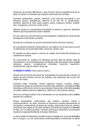 83
Originaria de Europa Meridional y Asia Central. Deriva probablemente de A.
fatua, A. sterilis o A. barbata. Se emplean sobre todo las semillas.
Contiene carboidratos, grasas, proteínas, una hormona semejante a una
foliculina (acción estrogénica), vitamina A, B1, B2, PP, D, carotenoides,
tocoferol, vitamina K, boro, yodo, potasio, calcio, magnesio, fósforo, cobalto,
zinc, manganeso, aluminio, sodio, hierro.
Además posee un componente importante, la avenina o gramina, alcaloide
indólico que le proporciona acción sedante.
En uso interno es útil como tónica reconstituyente, antidepresiva, estimulante
estrogénica y del tiroides, diurética.
Se trata de una planta con acción importante sobre el terreno nervioso.
Es una planta emoliente y refrescante en uso externo, por lo que será muy util
en afecciones de la piel (dermatitis, eccemas, herpes, etc).
El salvado de avena ayuda a reducir los niveles anormalmente elevados de
colesterol en sangre.
Se recomienda en estados de debilidad general, falta de apetito, falta de
concentración, en la deshabituación del tabaco y del opio (actúa como sedante
nervioso), astenia, convalecencia, ansiedad, insomnio, depresión,
estreñimiento, oliguria, litiasis renal, etc..
TE NEGRO O VERDE (Thea sinensis Sims.)
Desde que el hombre descubrió las propiedades de este arbusto oriental, ha
hecho de esta infusión una de las bebidas más populares del mundo. Se
utilizan las hojas.
Contiene sales minerales, ácidos orgánicos (málico, succínio, oxálico,
clorogénico), trazas de aceite esencial (alcoholes alifáticos, salicilatodemetilo),
derivados polifenólicos entre los que destacan flavonoides (Kamferol,quercetol,
miricetol), catecol y taninos catéquicos. Vitamina C y B, enzimas (teasa).
Pero sus principios activos más importantes son los alcaloides (teína, teofilina,
teobromina y cafeína).
Posee propiedades estimulantes del sistema nervioso central y
cardiorespiratorio, es decir, aumenta la frecuencia cardiaca favoreciendo la
circulación y aumentando el aporte de sangre, sobre todo hacia las arterias
coronarias que irrigan el músculo cardiaco, y al resto del organismo,entreellos
al riñón con un efecto diurético. También estimula la respiración y la actividad
cerebral se agudiza facilitando el trabajo intelectual.
La teína acelera el trasporte de determinados analgésicos (aspirina,fenacetina)
por la sangre, y al ser estimulante cardiorespiratoria contrarresta el efecto
 