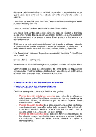 84
depresivo del abuso de alcohol, barbitúricos y morfina. Los polifenoles hacen
que la acción de la teína sea menos brutal pero más pronunciada que la de la
cafeína.
La teofilina es relajante de la musculatura lisa, sobre todo la bronquial,diurética
y vasodilatadora periférica.
La teobromina es diurética y estimulante del músculo cardiaco.
El té negro y el té verde se obtiene de la misma especie de arbol, la diferencia
radica en el método de preparación. En el caso del té negro las hojas sesecan,
se dejan fermentar y se vuelven a secar. En el té verde solo se seca , sin
dejarlo fermentar.
El té negro es más astringente (diarreas). Al té verde le atribuyen además
acciones anticancerosas (sobre todo a nivel de canceres de estómago y de
piel), potenciador del sistema inmunitario, antiateromatoso y digestivas.
Los flavonoides y catecoles le confieren una acción vitaminica P (venotónico,
vasoprotectora).
En uso externo es astringente.
Se recomienda en casos de fatiga física y psíquica. Diarrea. Bronquitis. Asma.
Contraindicado en caso de alteraciones del ritmo cardiaco (taquicardia),
embarazadas y madres lactantes (estimulante) y en úlceras de estómago. A
grandes dosis puede producir nerviosismo e insomnio.
FITOTERAPIA BASICA DEL APARATO GENITOURINARIO
FITOTERAPIA BASICA DEL APARATO URINARIO
Dentro de este apartado podemos destacar tres grupos:
• Plantas de acción antisépticas urinarias: poseen interés las plantas con
arbutina que por hidrólisis liberan hidroquinona responsabledelaacción
antiséptica urinaria, al eliminarse por vía renal: Gayuba, Brezo,
Ortosifón, Pino, Enebro.
• Plantas de acción diurética: Esta acción la ejercen aquellas plantas que
son ricas en sales minerales, sobre todo en potasio, flavonoides, etc.
Entre ellas tenemos: Adedull, Grama, Vara de oro, Maíz, Cola de
caballo, Ortiga verde, Arenaria, Rabos de cereza.
• Plantas de acción antilitiasica: es decir, que favorecen la disolución de
los cálculos renales, por eliminarse por vía renal, a la vez que impiden
su formación. Dentro de estas plantas destaca el Lepidio o
Rompepiedras.
 