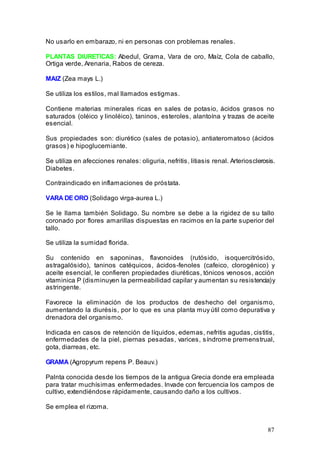87
No usarlo en embarazo, ni en personas con problemas renales.
PLANTAS DIURETICAS: Abedul, Grama, Vara de oro, Maíz, Cola de caballo,
Ortiga verde, Arenaria, Rabos de cereza.
MAIZ (Zea mays L.)
Se utiliza los estilos, mal llamados estigmas.
Contiene materias minerales ricas en sales de potasio, ácidos grasos no
saturados (oléico y linoléico), taninos, esteroles, alantoína y trazas de aceite
esencial.
Sus propiedades son: diurético (sales de potasio), antiateromatoso (ácidos
grasos) e hipoglucemiante.
Se utiliza en afecciones renales: oliguria, nefritis, litiasis renal. Arteriosclerosis.
Diabetes.
Contraindicado en inflamaciones de próstata.
VARA DE ORO (Solidago virga-aurea L.)
Se le llama también Solidago. Su nombre se debe a la rigidez de su tallo
coronado por flores amarillas dispuestas en racimos en la parte superior del
tallo.
Se utiliza la sumidad florida.
Su contenido en saponinas, flavonoides (rutósido, isoquercitrósido,
astragalósido), taninos catéquicos, ácidos-fenoles (cafeico, clorogénico) y
aceite esencial, le confieren propiedades diuréticas, tónicos venosos, acción
vitaminica P (disminuyen la permeabilidad capilar y aumentan su resistencia)y
astringente.
Favorece la eliminación de los productos de deshecho del organismo,
aumentando la diurésis, por lo que es una planta muy útil como depurativa y
drenadora del organismo.
Indicada en casos de retención de líquidos, edemas, nefritis agudas, cistitis,
enfermedades de la piel, piernas pesadas, varices, síndrome premenstrual,
gota, diarreas, etc.
GRAMA (Agropyrum repens P. Beauv.)
Palnta conocida desde los tiempos de la antigua Grecia donde era empleada
para tratar muchísimas enfermedades. Invade con fercuencia los campos de
cultivo, extendiéndose rápidamente, causando daño a los cultivos.
Se emplea el rizoma.
 