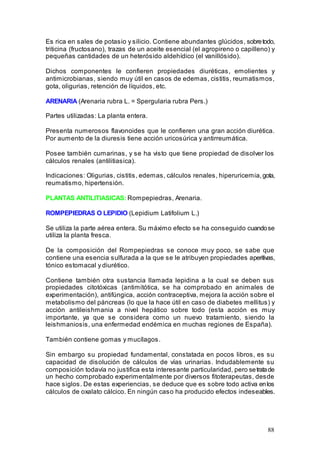 88
Es rica en sales de potasio y silicio. Contiene abundantes glúcidos, sobretodo,
triticina (fructosano), trazas de un aceite esencial (el agropireno o capilleno) y
pequeñas cantidades de un heterósido aldehídico (el vanillósido).
Dichos componentes le confieren propiedades diuréticas, emolientes y
antimicrobianas, siendo muy útil en casos de edemas, cistitis, reumatismos,
gota, oligurias, retención de líquidos, etc.
ARENARIA (Arenaria rubra L. = Spergularia rubra Pers.)
Partes utilizadas: La planta entera.
Presenta numerosos flavonoides que le confieren una gran acción diurética.
Por aumento de la diuresis tiene acción uricosúrica y antirreumática.
Posee también cumarinas, y se ha visto que tiene propiedad de disolver los
cálculos renales (antilitiasica).
Indicaciones: Oligurias, cistitis, edemas, cálculos renales, hiperuricemia,gota,
reumatismo, hipertensión.
PLANTAS ANTILITIASICAS: Rompepiedras, Arenaria.
ROMPEPIEDRAS O LEPIDIO (Lepidium Latifolium L.)
Se utiliza la parte aérea entera. Su máximo efecto se ha conseguido cuandose
utiliza la planta fresca.
De la composición del Rompepiedras se conoce muy poco, se sabe que
contiene una esencia sulfurada a la que se le atribuyen propiedades aperitivas,
tónico estomacal y diurético.
Contiene también otra sustancia llamada lepidina a la cual se deben sus
propiedades citotóxicas (antimitótica, se ha comprobado en animales de
experimentación), antifúngica, acción contraceptiva, mejora la acción sobre el
metabolismo del páncreas (lo que la hace útil en caso de diabetes mellitus) y
acción antileishmania a nivel hepático sobre todo (esta acción es muy
importante, ya que se considera como un nuevo tratamiento, siendo la
leishmaniosis, una enfermedad endémica en muchas regiones de España).
También contiene gomas y mucílagos.
Sin embargo su propiedad fundamental, constatada en pocos libros, es su
capacidad de disolución de cálculos de vías urinarias. Indudablemente su
composición todavía no justifica esta interesante particularidad, pero setratade
un hecho comprobado experimentalmente por diversos fitoterapeutas, desde
hace siglos. De estas experiencias, se deduce que es sobre todo activa enlos
cálculos de oxalato cálcico. En ningún caso ha producido efectos indeseables.
 