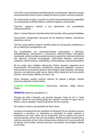 91
(0,5-0,8%), de propiedades antiinflamatorias y cicatrizantes. Además el aceite
esencial también posee cineol, acetato de bornilo, pineno, borneol y alcanfor.
Su componente amargo, la aquilicina, lactona sesquiterpénica tipo guaianólico,
con propiedades antiinflamatorias, antihemorrágicas y cicatrizantes.
Flavonas, apigenol, luteolol y sus glucósidos, con propiedades
antiespasmódicas.
Otras 3 nuevas flavonas recientemente descubiretas, tetra y pentametoxiladas.
Compuestos nitrogenados del grupo de las betaínas (betaina, stachidrina,
betonicina, colina).
Taninos, ácido cafeíco, potasio, clorofila, trazas de compuestos acetilénicos y
de un heterósido cianogenético, etc.
Sus propiedades son antiespasmódicas (camazuleno y flavonas),
antiinflamatorias (camazuleno y aquilicina), antihemorroidal, astringente,
cicatrizante, antihemorrágico (aceite esencial y aquilicina). Además también le
han atribuido acciones emenagogas, estimulante difestiva, carminativa,
colerética, antirreumáticas, antipiréticas, antineurálgicas y parasimpaticolítica.
Se ha usado para múltiples afecciones: Fiebre, diarreas, regulador de la
menstruación, dismenorreas, menopausia, espasmos digetivos y uterinos,
estimulante de la secreción gástrica, hemorrágias, falta de apetito, vermífugo,
neurosis, convulsiones, gota, reuma, litiasis biliar, trastornos de la circulación
(varices, hemorroides, flebitis), enuresis, etc.
Dosis elevadas pueden producir dolores de cabeza y vértigos. Existen
presonas alérgicas a dicha planta.
PLANTAS ANTIHEMORRAGICAS: Hamamelis, Hidrastis, Ortiga blanca,
Ciprés.
HIDRASTIS (Hydrastis canadensis L.)
Procede de USA y Canadá y es también llamado "sello de oro" o "sello
dorado". Deriva de una planta griega que significa "convertir en agua" por su
efecto, a dosis elevadas, sobre la secreción de las mucosas.
Se emplea el rizoma, acompañado de finas raíces.
Contiene principalmente tres alcaloide: la hidrastina (no es soluble en agua),
berberina y canadina. La hidrastina se desdobla en ácido opiánico e
hidrastinina (es más activa que la hidrastina), que le confiere una acción
vasoconstrictora, tónica venosa, hemostática, antihemorroidal, hipertensora y
oxitócico (aumenta el tono y las contracciones uterinas) por lo que resulta útil
en varices, hemorroides, úlceras varicosas, hemoptisis, hemorrágias uterinas,
menorragia.
 
