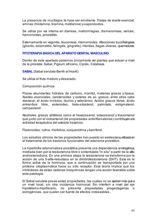 93
La presencia de mucílagos le hace ser emoliente. Trazas de aceite esencial,
aminas (histamina, tiramina, metilanina) y saponósidos.
Se utiliza por vía interna en diarreas, metrorrrragias, dismenorreas, varices,
hemorroides, prostatitis.
Externamente en vaginitis, leucorreas. Hemorroides. Afecciones bucofaringeas
(glositis, estomatitis, faringitis, gingivitis). Heridas, llagas úlceras, quemaduras.
FITOTERAPIA BASICA DEL APARATO GENITAL MASCULINO
Dentro de este apartado podemos únicamente ver plantas que actuan a nivel
de la prostata: Sabal, Pigeum africano, Ciprés, Calabaza.
SABAL (Sabal serulata Benth et HooK)
Se utiliza el fruto maduro y desecado.
Composición química:
Posee abundantes hidratos de carbono, manitol, materias grasas y lipasa.
Aceites esenciales, carotenoides y esteres de ac. grasos, entre otros cabe
destacar, el ácido mirístico, láurico y valeriánico. Acidos grasos libres, ácido
antranílico libre, esteroides, beta-sitosterol, palmitato, estigmaterol,
campesterol.
Alcoholes grasos alifáticos como el hexacosanol, octacosanol y triacontanol
que junto con el cicloartenol (de propiedades antiinflamatorias) contribuyenala
actividad terapéutica del extracto hexánico.
Flavonoides: rutina, rhoifolina, isoquercitrina y kamferol.
Los estudios clínicos de las propiedades han puesto en evidesciasueficaciaen
el tratamiento de los trastonos funcionales del adenoma prostático.
La hipertrofia adenomatosa prostática presenta una dependencia androgénica,
mediada bien por la testosterona libre o sintentizada "in situ" a partir de la alfa-
androstenodiona. En una primera etapa la testosterona se transforma por la
acción de una 5-alfa-reductasa en la dihidrotestosterona (DHT). Esta es la
forma activa de la hormona, que a continuación es transportada por una
proteína citoplasmática hacia su sitio receptor. Esta teoría implica que los
inhibidores de estas cadenas bioquímicas tengan una acción favorable sobre
esta patología.
El Sabal serulata posee estas propiedades, las cuales no se ejercenmás quea
un nivel local, sin otra incidencia hormonal. Sin interferir a nivel del eje
hipotálamo-hipofisiario, no presenta propiedades progestagenas o
estrogénicas, que suelen ser fuente de efectos indeseables.
 