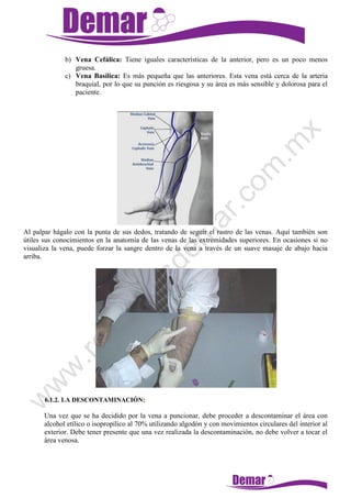 b) Vena Cefálica: Tiene iguales características de la anterior, pero es un poco menos
gruesa.
c) Vena Basílica: Es más pequeña que las anteriores. Esta vena está cerca de la arteria
braquial, por lo que su punción es riesgosa y su área es más sensible y dolorosa para el
paciente.
Al palpar hágalo con la punta de sus dedos, tratando de seguir el rastro de las venas. Aquí también son
útiles sus conocimientos en la anatomía de las venas de las extremidades superiores. En ocasiones si no
visualiza la vena, puede forzar la sangre dentro de la vena a través de un suave masaje de abajo hacia
arriba.
6.1.2. LA DESCONTAMINACIÓN:
Una vez que se ha decidido por la vena a puncionar, debe proceder a descontaminar el área con
alcohol etílico o isopropílico al 70% utilizando algodón y con movimientos circulares del interior al
exterior. Debe tener presente que una vez realizada la descontaminación, no debe volver a tocar el
área venosa.
 