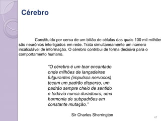 Cérebro
“O cérebro é um tear encantado
onde milhões de lançadeiras
fulgurantes (impulsos nervosos)
tecem um padrão disperso, um
padrão sempre cheio de sentido
e todavia nunca duradouro; uma
harmonia de subpadrões em
constante mutação.”
Sir Charles Sherrington
Constituído por cerca de um bilião de células das quais 100 mil milhões
são neurónios interligados em rede. Trata simultaneamente um número
incalculável de informação. O cérebro contribui de forma decisiva para o
comportamento humano.
47
 