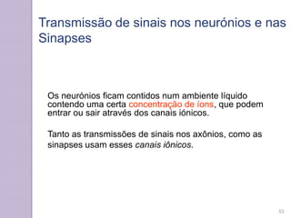 Transmissão de sinais nos neurónios e nas
Sinapses
53
Os neurónios ficam contidos num ambiente líquido
contendo uma certa concentração de íons, que podem
entrar ou sair através dos canais iónicos.
Tanto as transmissões de sinais nos axônios, como as
sinapses usam esses canais iônicos.
 