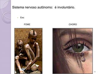 Sistema nervoso autônomo: é involuntário.
 Exs:
FOME CHORO
58
 