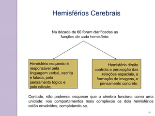 Hemisfério esquerdo é
responsável pela
linguagem verbal, escrita
e falada, pelo
pensamento lógico e
pelo cálculo;
Hemisfério direito
controla a percepção das
relações espaciais, a
formação de imagens, o
pensamento concreto.
Na década de 60 foram clarificadas as
funções de cada hemisfério:
Hemisférios Cerebrais
Contudo, não podemos esquecer que o cérebro funciona como uma
unidade: nos comportamentos mais complexos os dois hemisférios
estão envolvidos, completando-se.
64
 